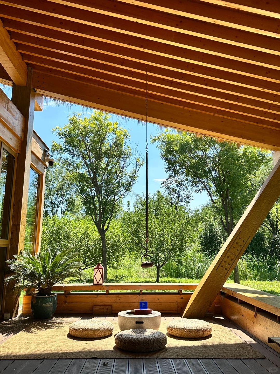 Beijing/Tianjin-Beijing Dunyuan She Forest Tree House | Who can resist the temptation of coffee and bookstores?