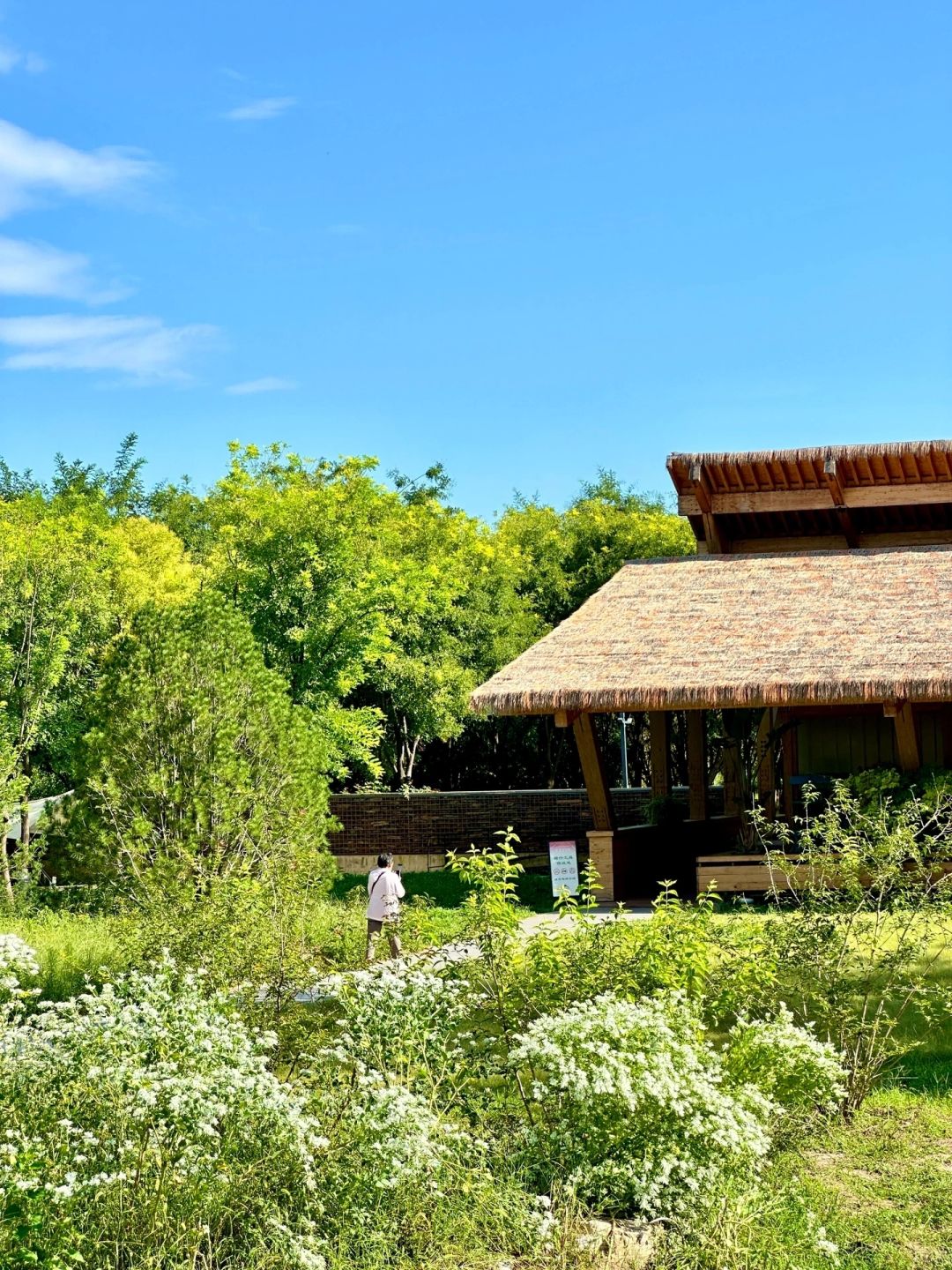 Beijing/Tianjin-Beijing Dunyuan She Forest Tree House | Who can resist the temptation of coffee and bookstores?