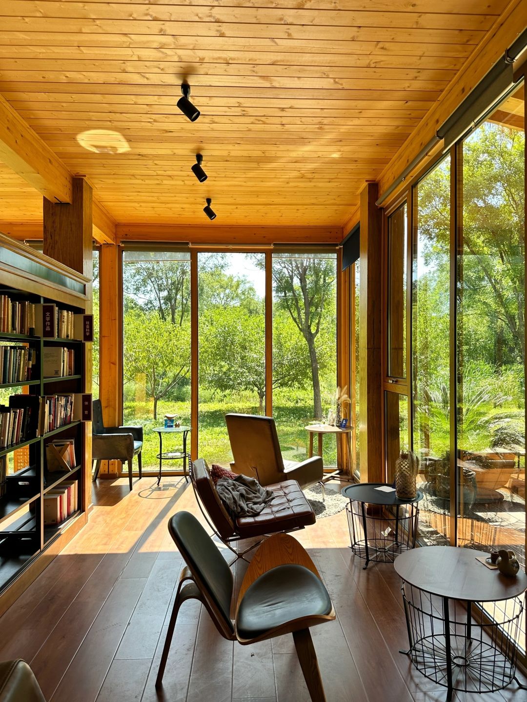 Beijing/Tianjin-Beijing Dunyuan She Forest Tree House | Who can resist the temptation of coffee and bookstores?