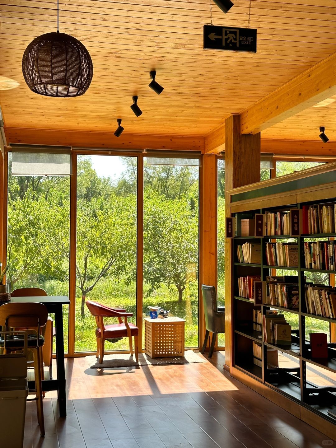 Beijing/Tianjin-Beijing Dunyuan She Forest Tree House | Who can resist the temptation of coffee and bookstores?