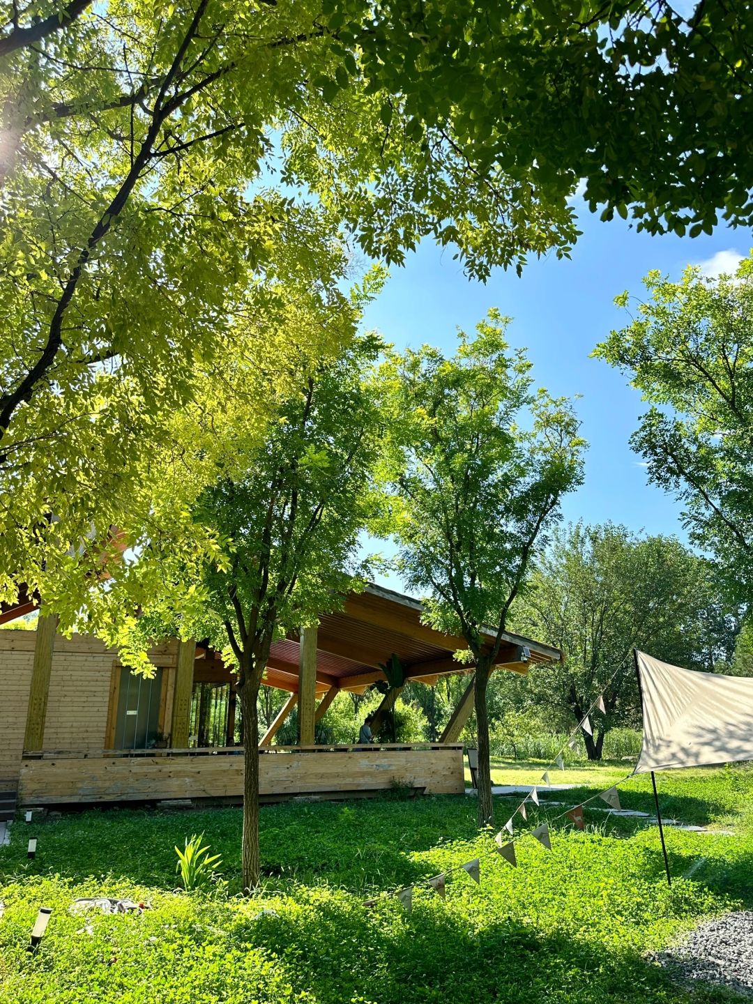 Beijing/Tianjin-Beijing Dunyuan She Forest Tree House | Who can resist the temptation of coffee and bookstores?