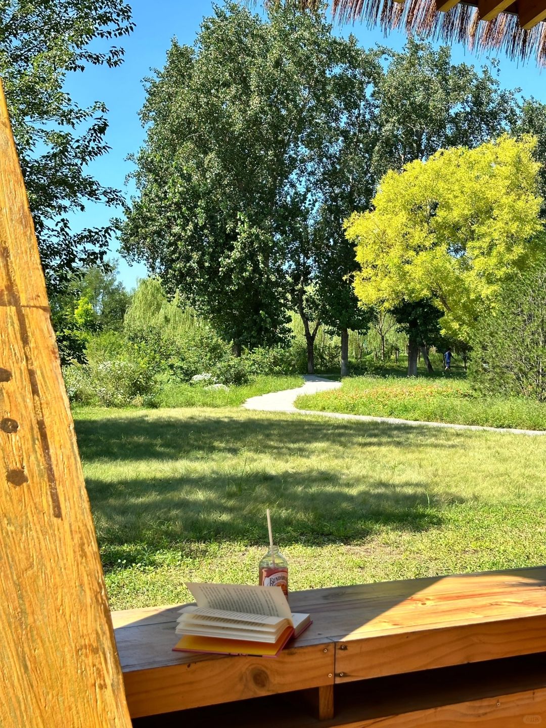 Beijing/Tianjin-Beijing Dunyuan She Forest Tree House | Who can resist the temptation of coffee and bookstores?