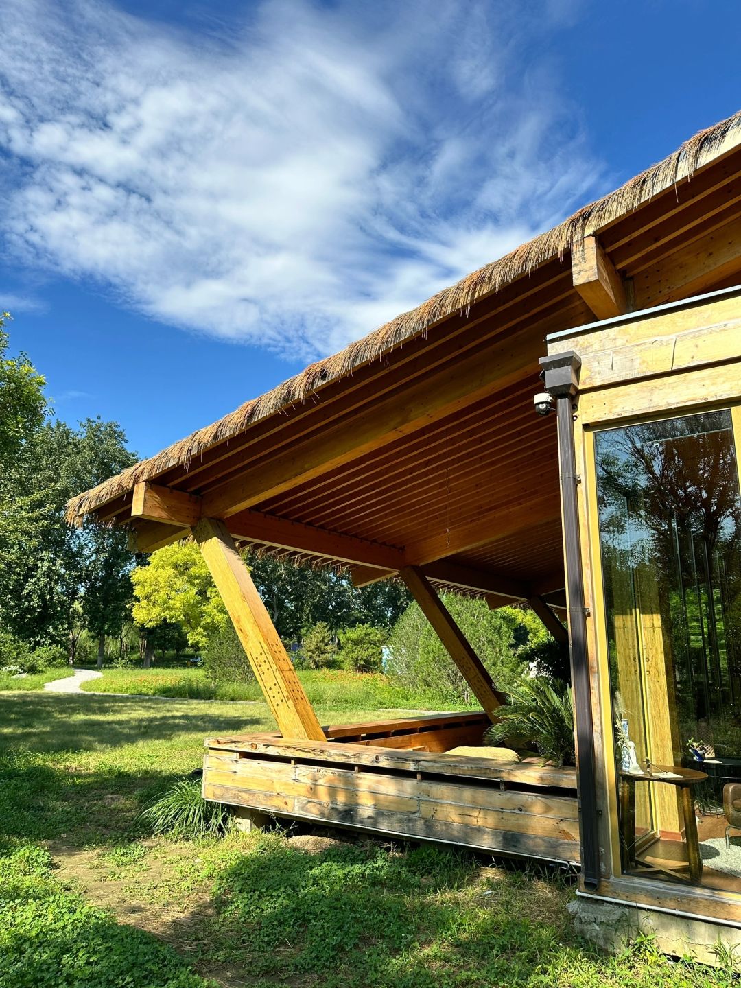 Beijing/Tianjin-Beijing Dunyuan She Forest Tree House | Who can resist the temptation of coffee and bookstores?