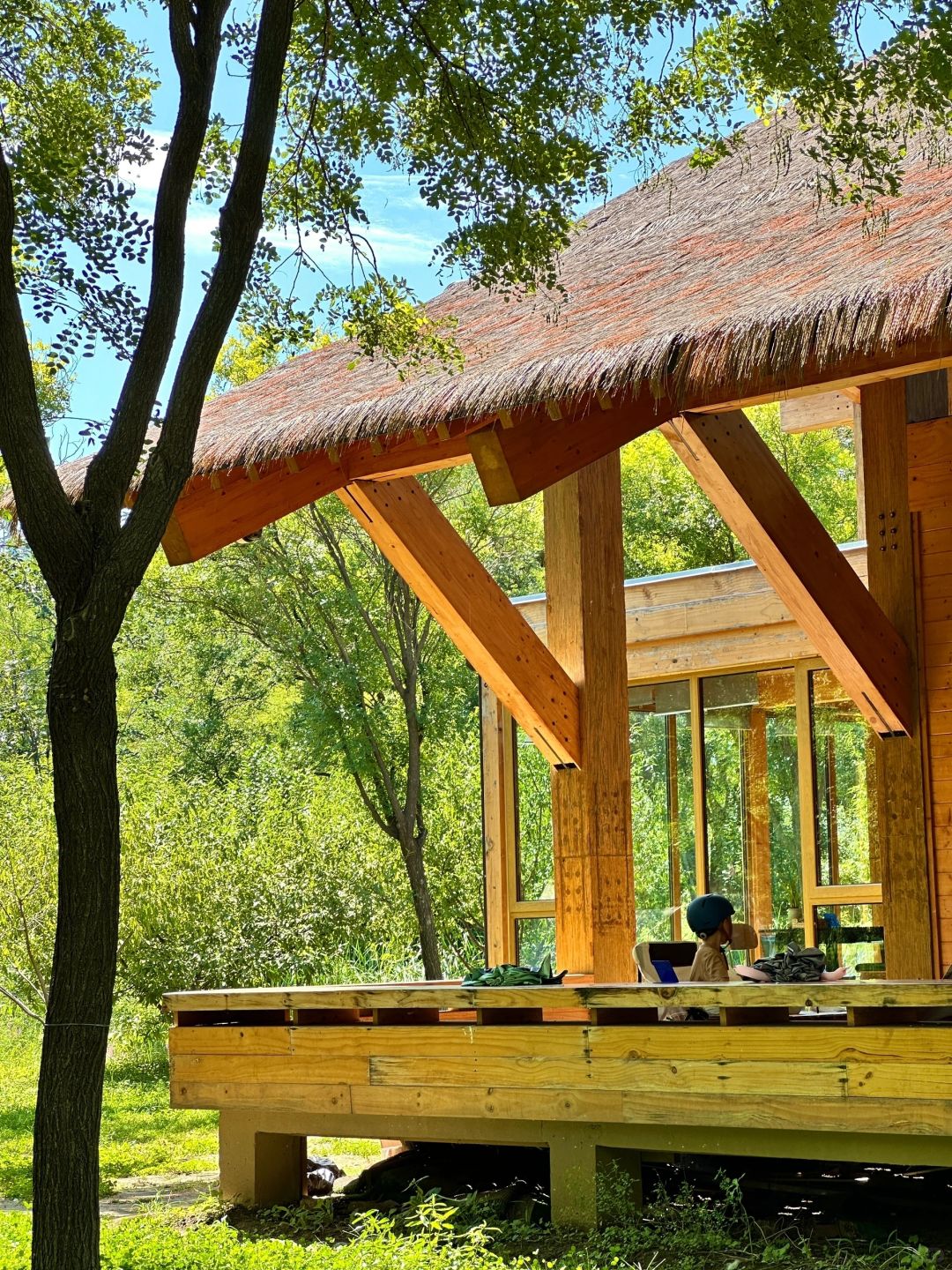 Beijing/Tianjin-Beijing Dunyuan She Forest Tree House | Who can resist the temptation of coffee and bookstores?