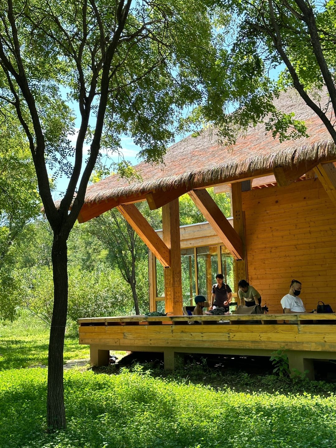 Beijing/Tianjin-Beijing Dunyuan She Forest Tree House | Who can resist the temptation of coffee and bookstores?