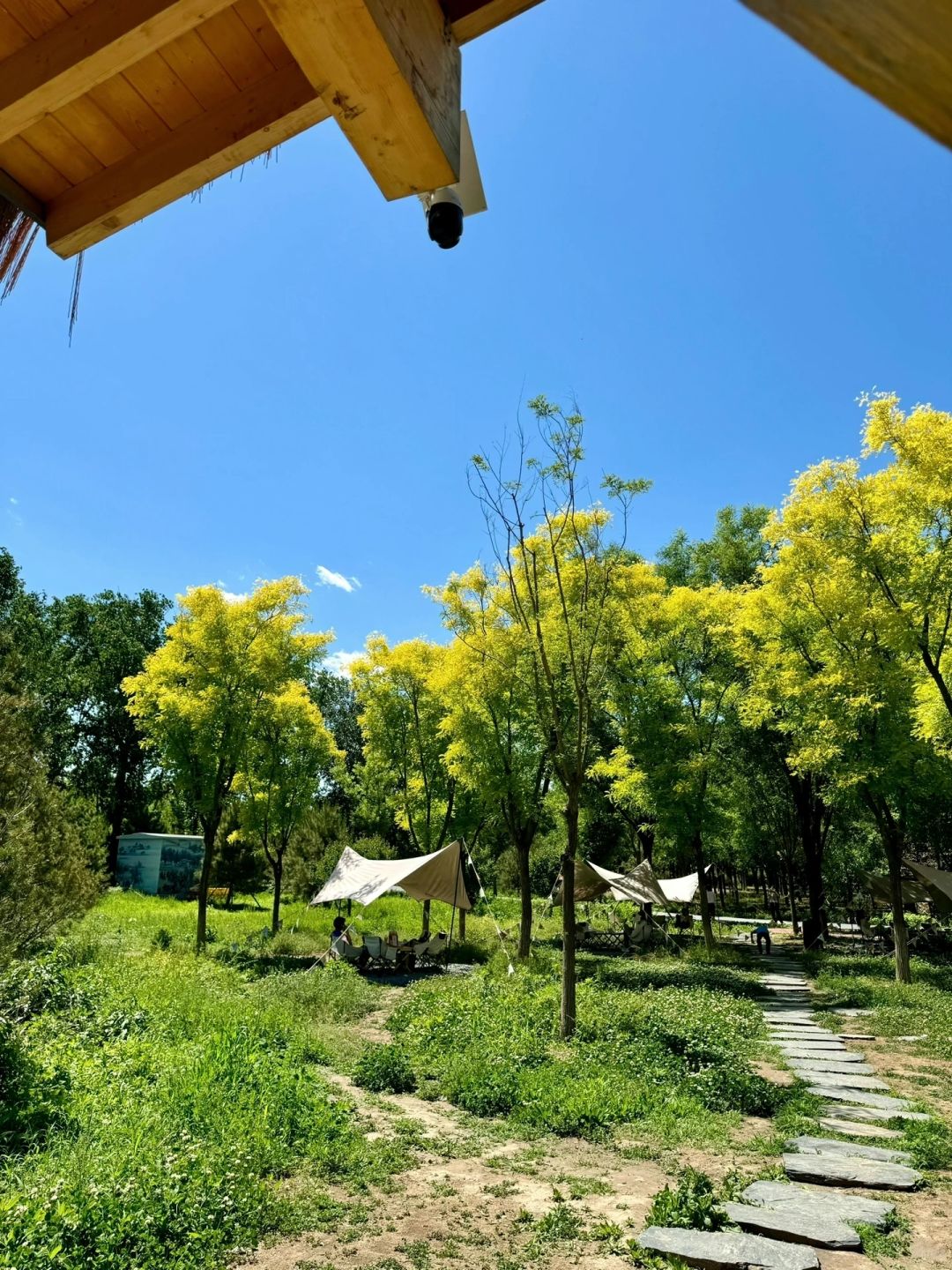 Beijing/Tianjin-Beijing Dunyuan She Forest Tree House | Who can resist the temptation of coffee and bookstores?
