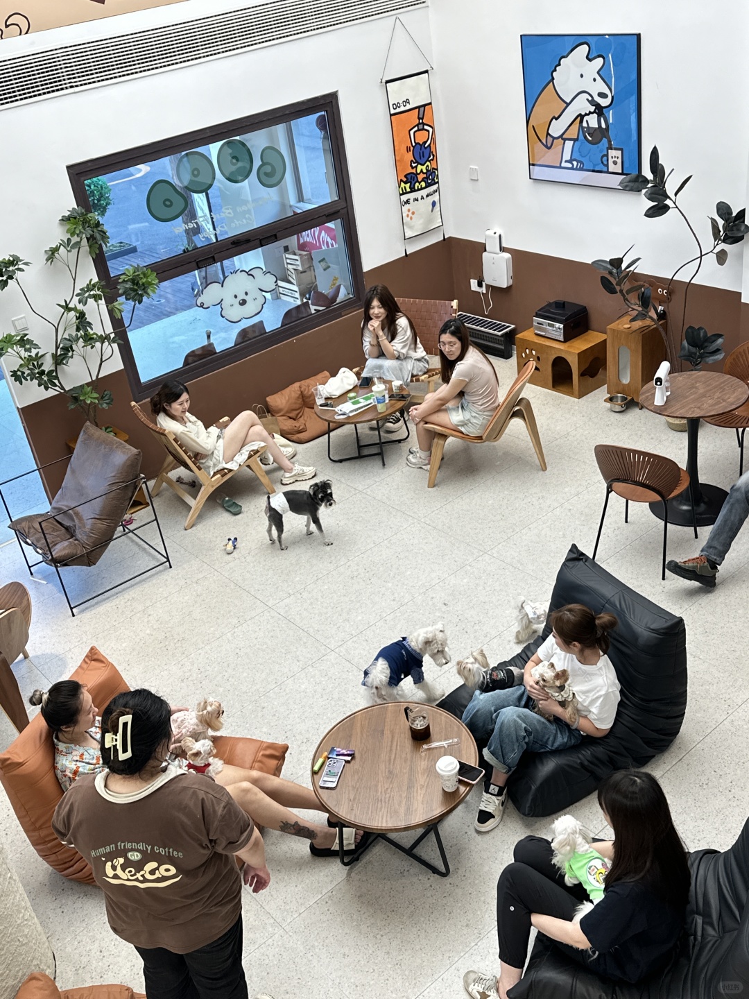 Beijing/Tianjin-New store in Beijing｜600㎡Puppy Coffee, cute and healing！