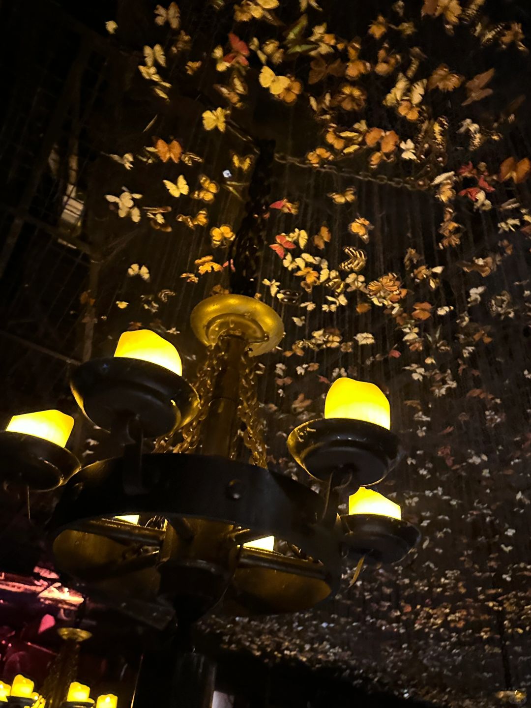 Hong kong-The Iron Fairies Bar in Hong Kong, many butterflies and wishing bottles, dancing unconsciously
