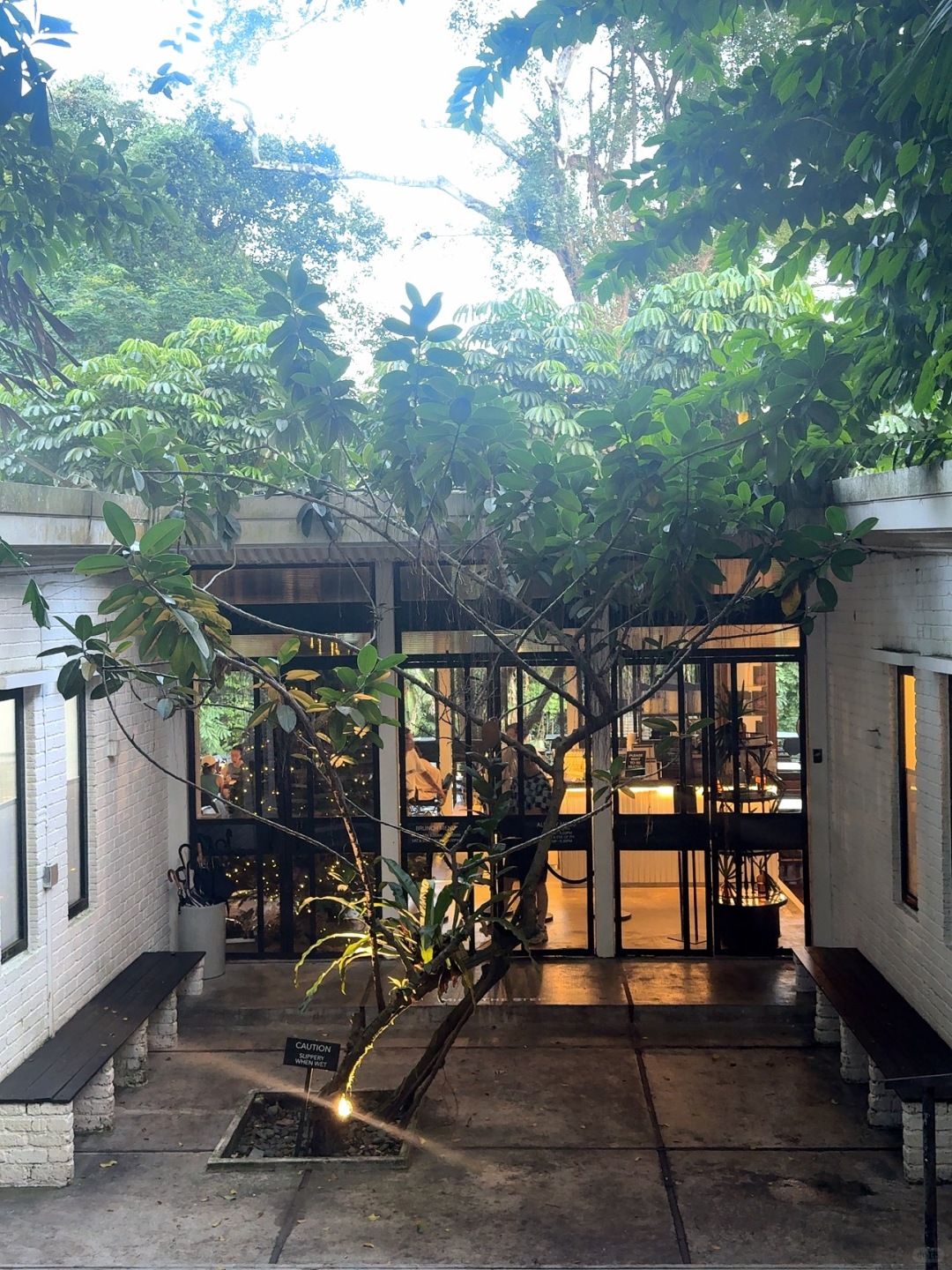 Singapore-PS.Cafe Harding Road in Singapore, Gives people the feeling of being in the forest！