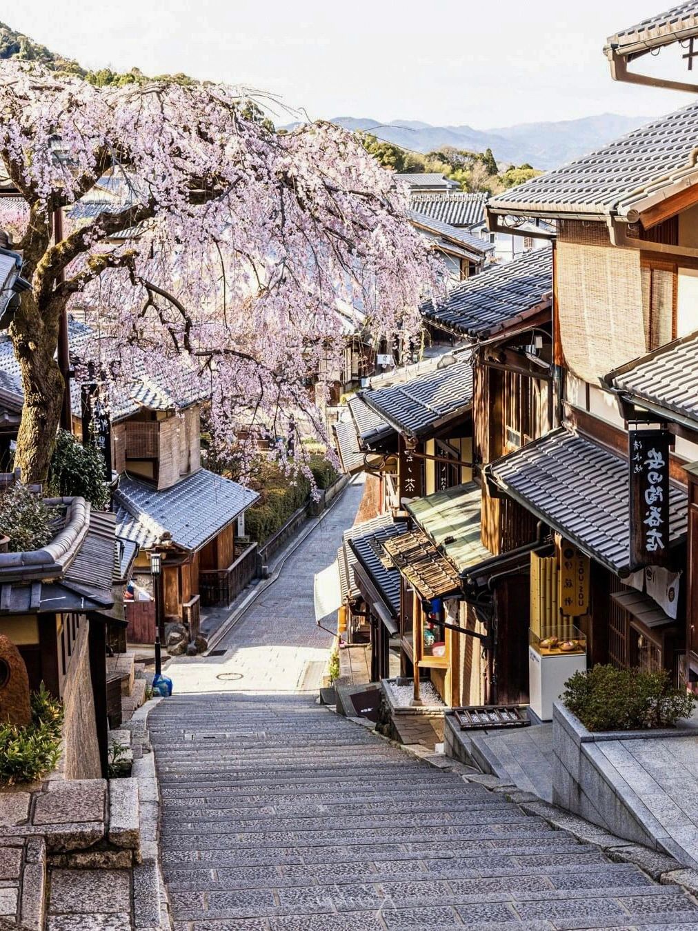 Osaka-The last 6 seats for cherry blossom viewing:Gion Festival, Hanama Path, Uji River,Yasaka Shrine,Lake Biwa