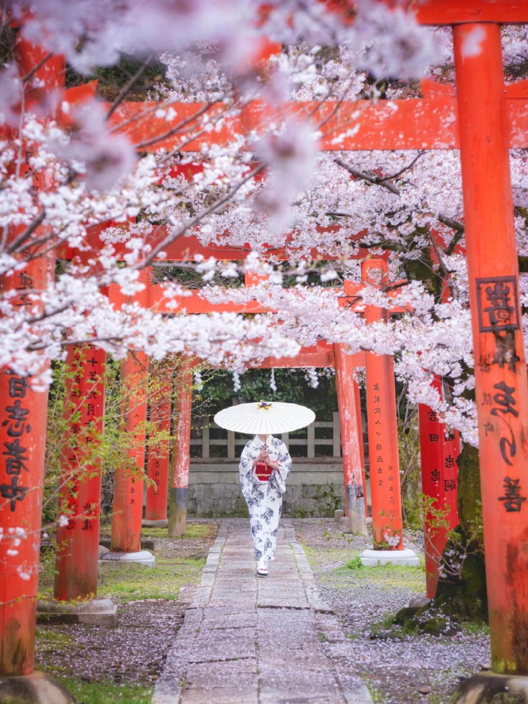 Osaka-The last 6 seats for cherry blossom viewing:Gion Festival, Hanama Path, Uji River,Yasaka Shrine,Lake Biwa