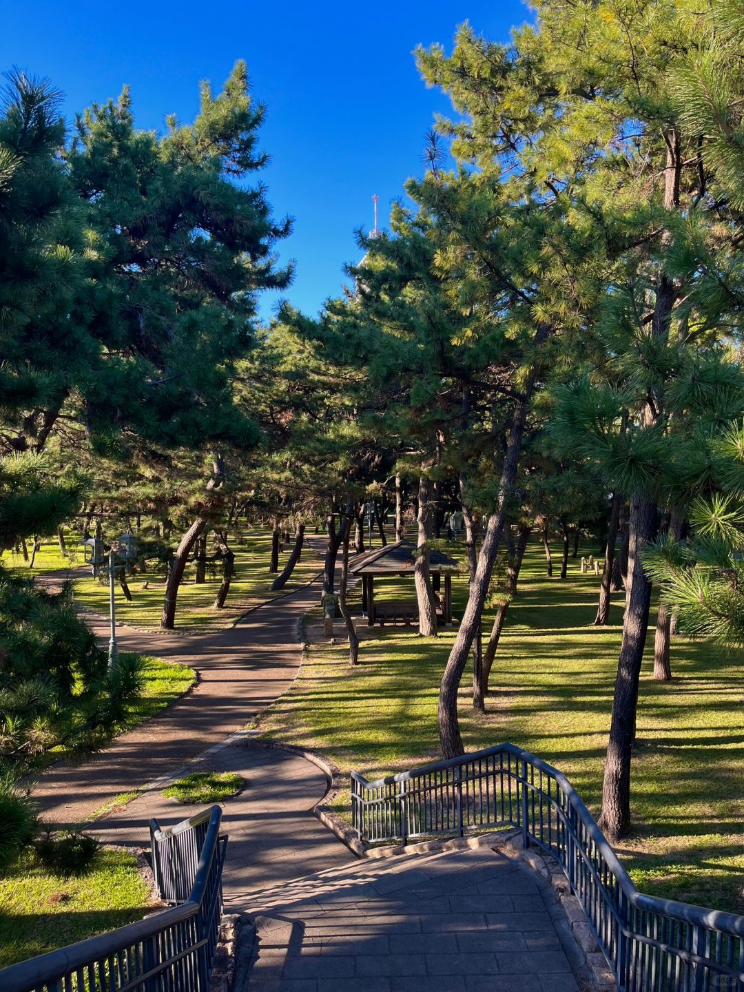 Osaka-Kobe is a huge magnetic field with Kobe Maiko Park,Kobe Venus Bridge,America Park
