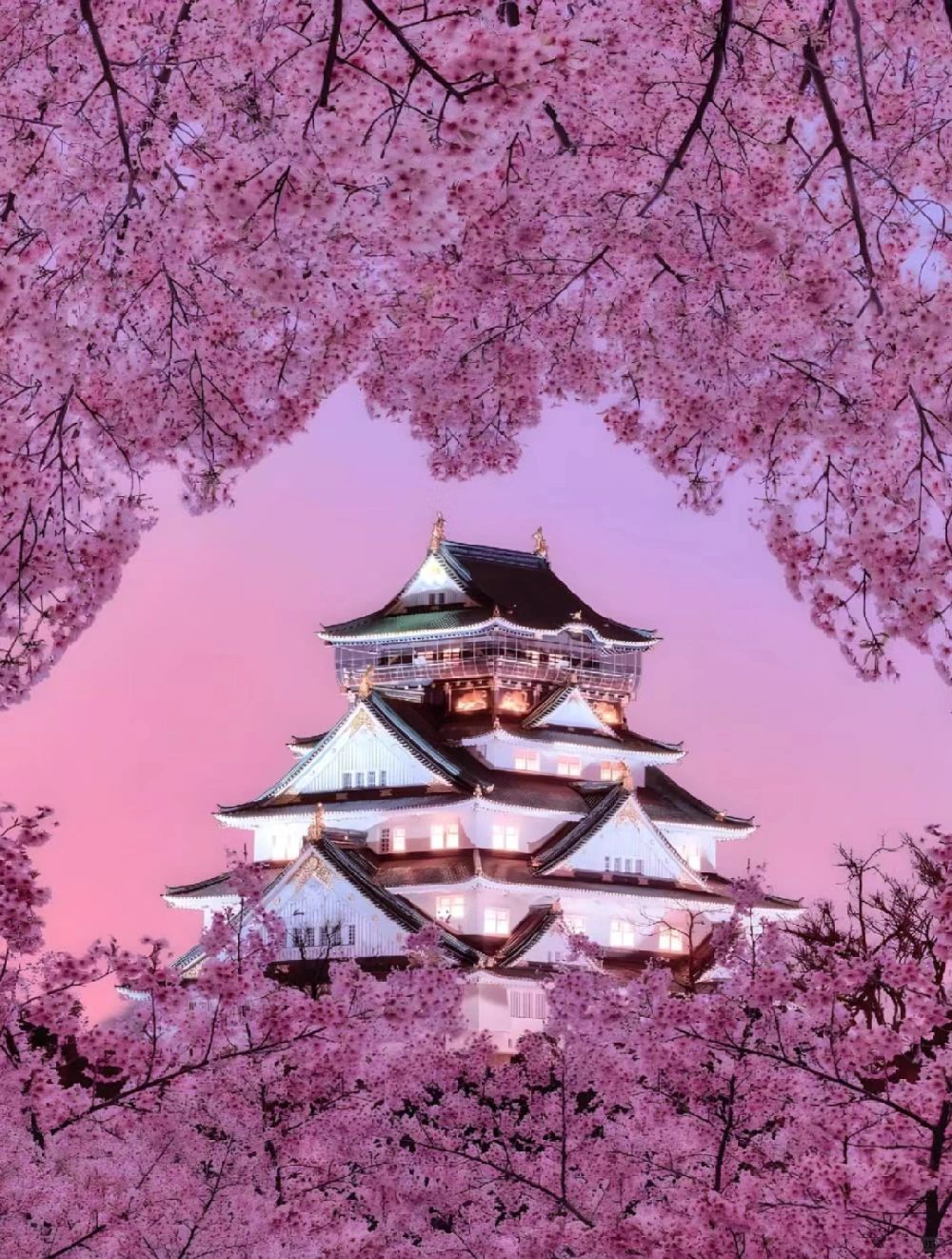 Osaka-Cherry Blossom Viewing Spots:Osaka Castle Park,Nara Park, Expo Commemorative Park,Kyoto  Kiyomizudera Temple