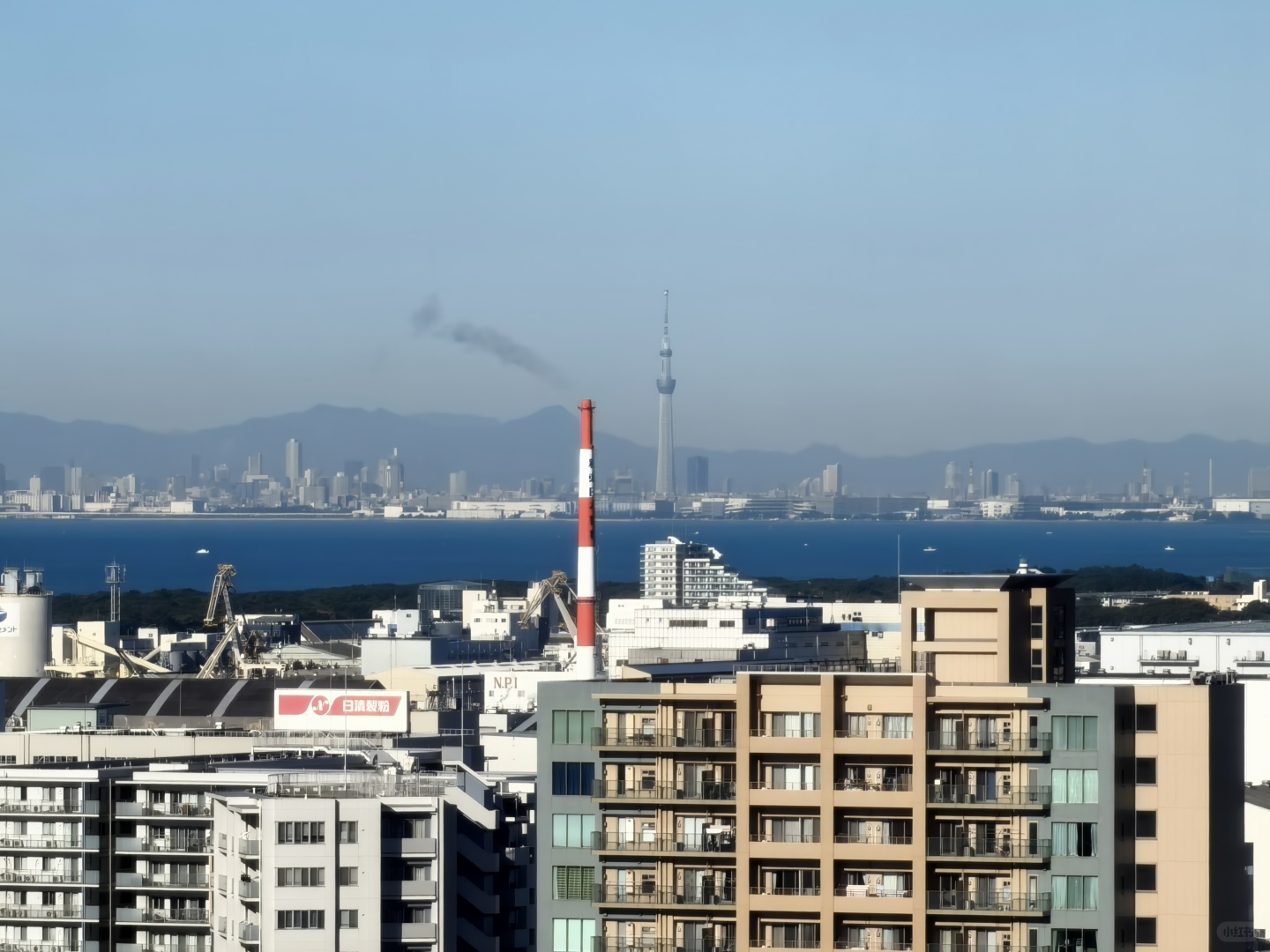 Tokyo-Watching Mount Fuji while having breakfast in Chiba and delicious udon noodles