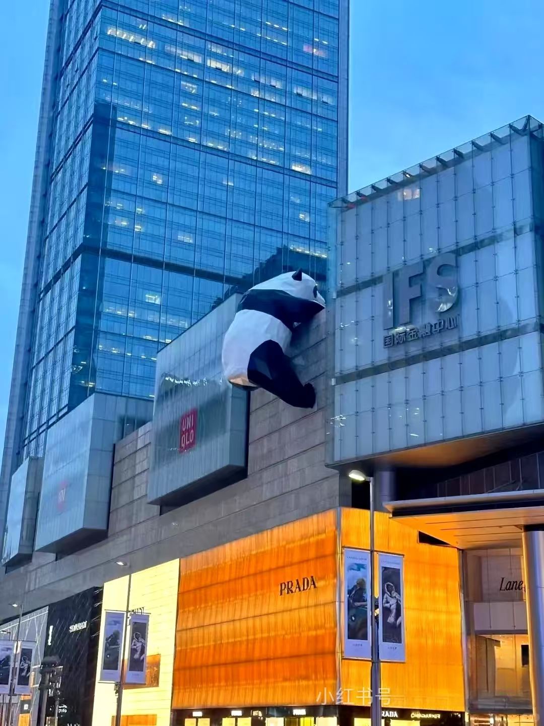 Chengdu/Chongqing-Chengdu Qunguang Grand Hyatt Hotel is only a few steps away from Taikoo Li and very close to traditional landmarks in Chengdu!
