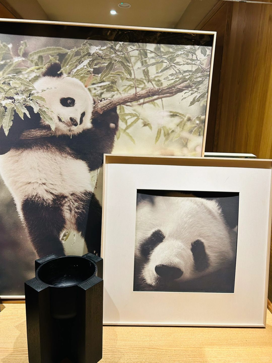 Chengdu/Chongqing-Chengdu Panda is very sleepy Hotel, with beautiful decorations and many panda elements incorporated!