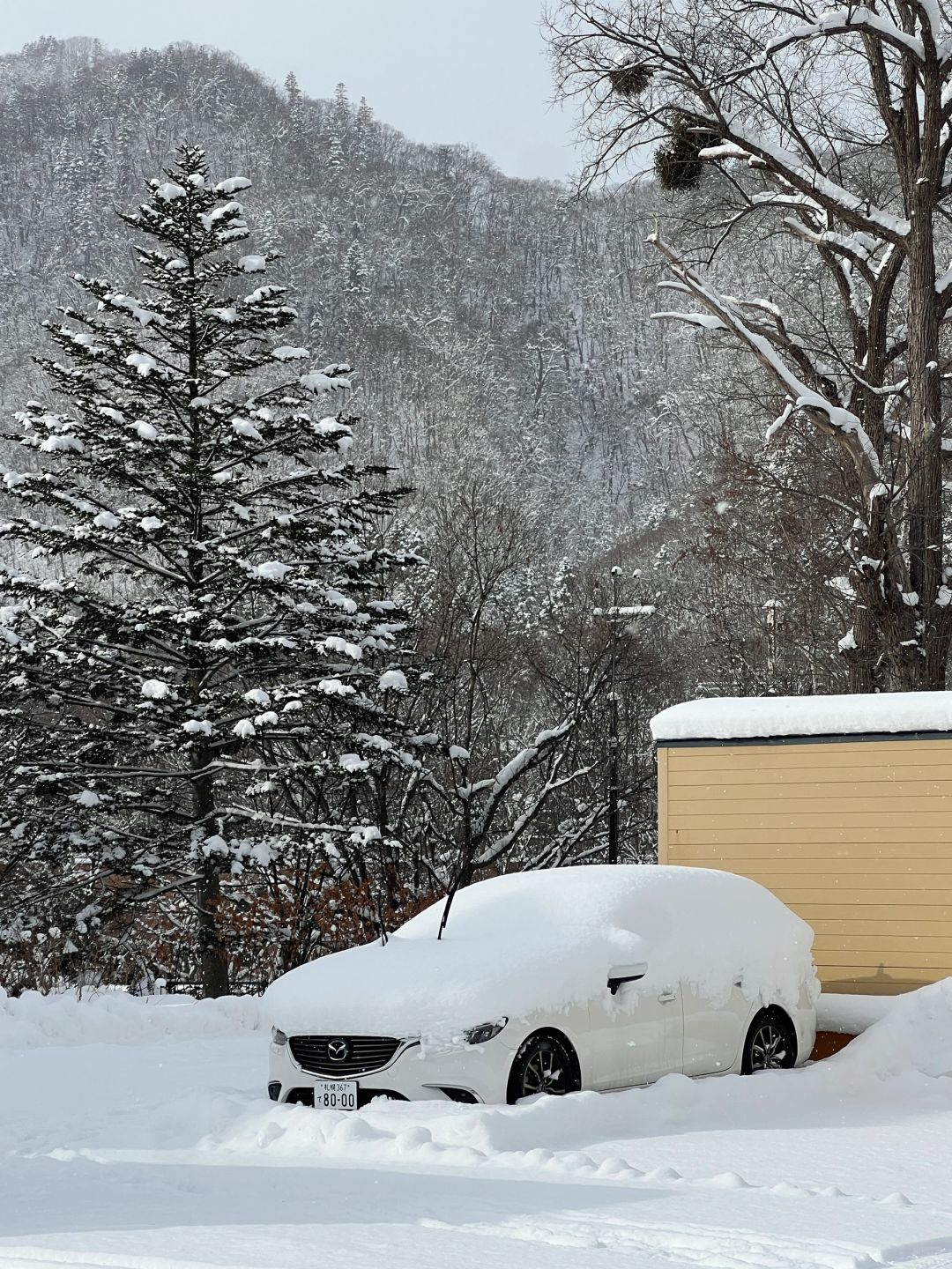 Sapporo/Hokkaido-Jozankei Snow Rafting:beautiful falling snow,talkative and friendly guys, rich hot spring  resources