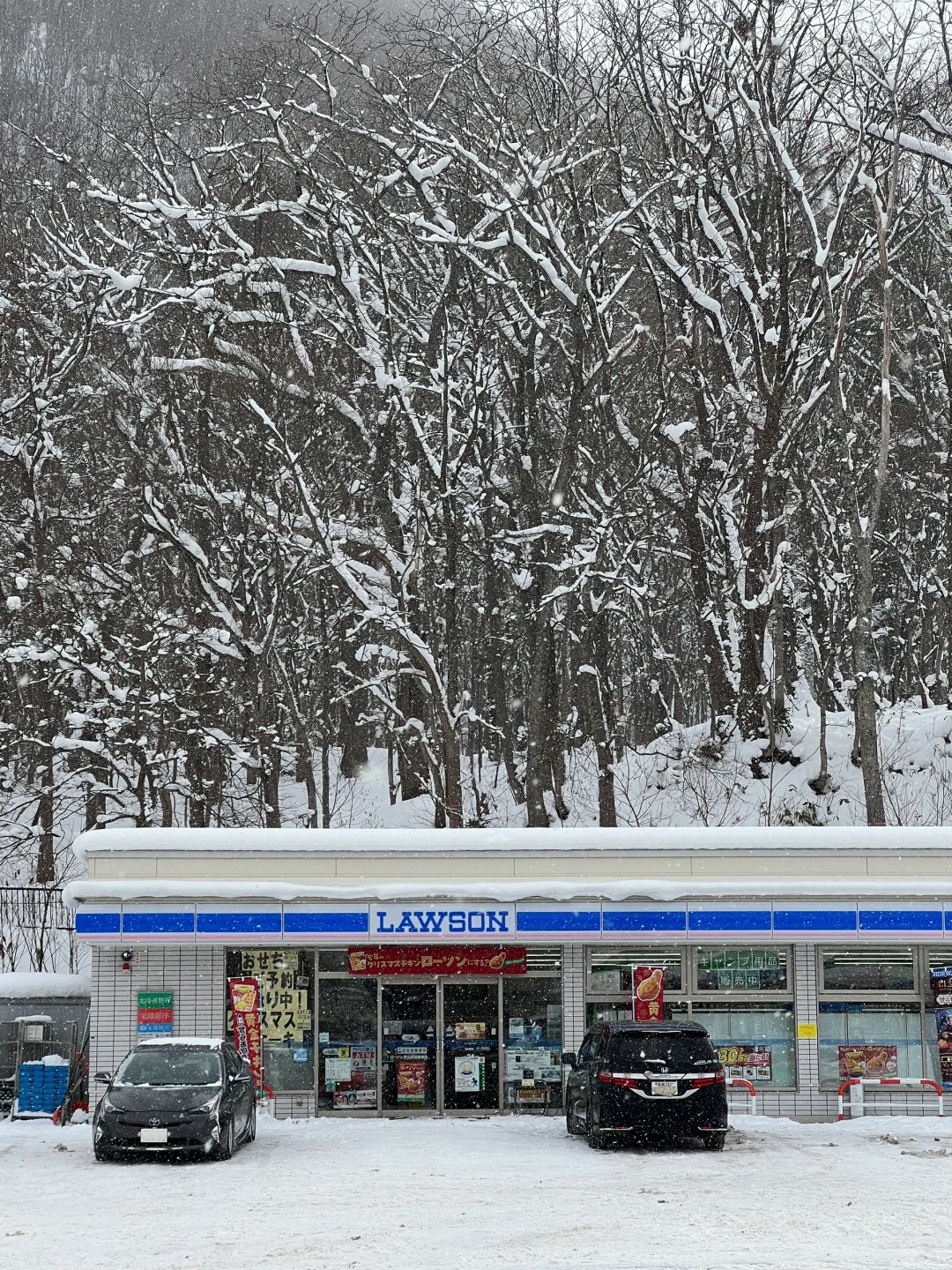 Sapporo/Hokkaido-Jozankei Snow Rafting:beautiful falling snow,talkative and friendly guys, rich hot spring  resources