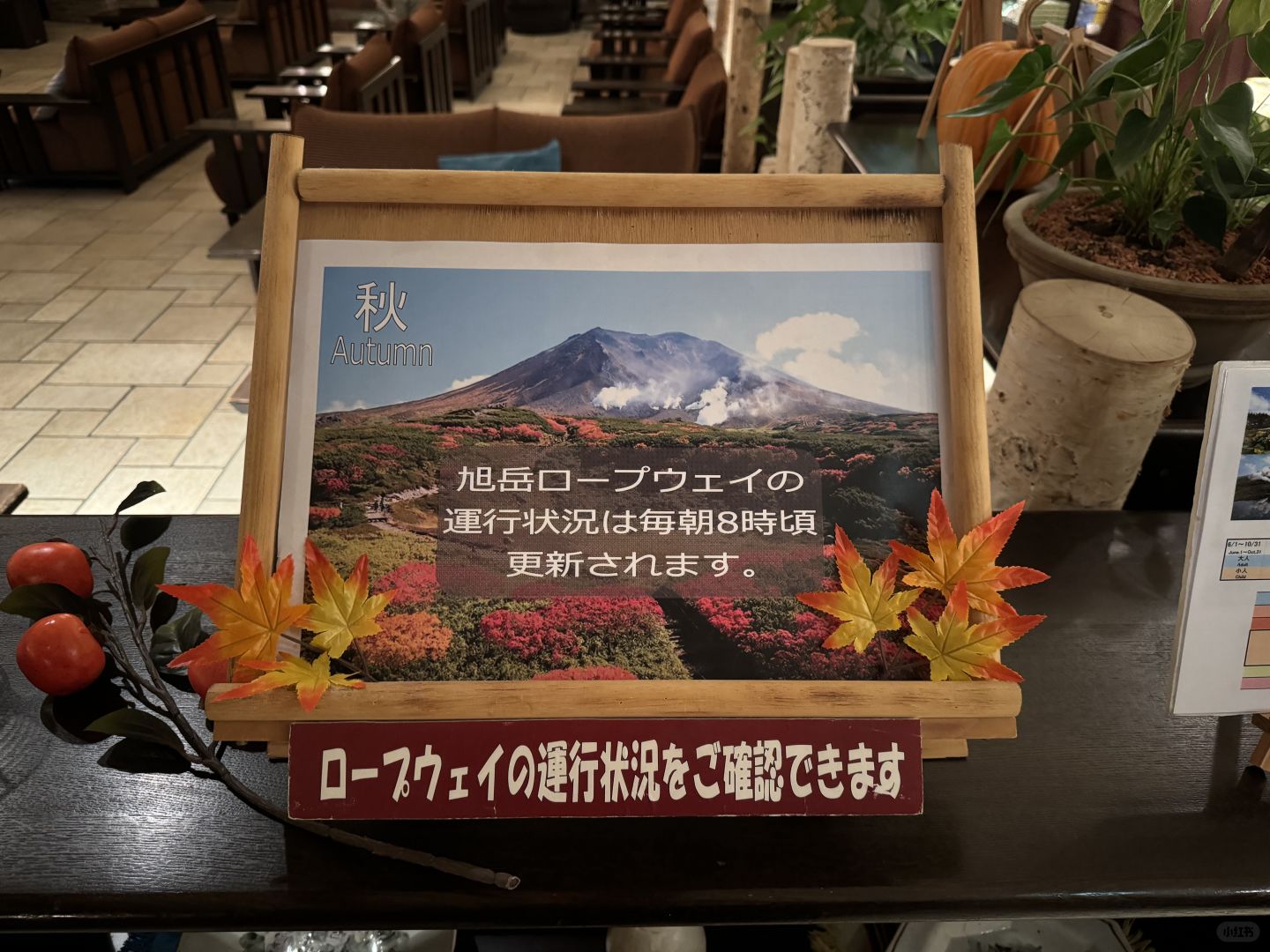 Sapporo/Hokkaido-La Vista Snow Mountain Hotel with private hot spring and good service attitude,considered the king hotel.