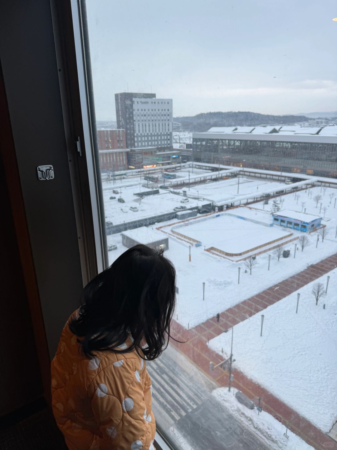 Sapporo/Hokkaido-Hotel Wing International Hokkaido Asahikawa Ekimae is cheap, $50 per night including breakfast