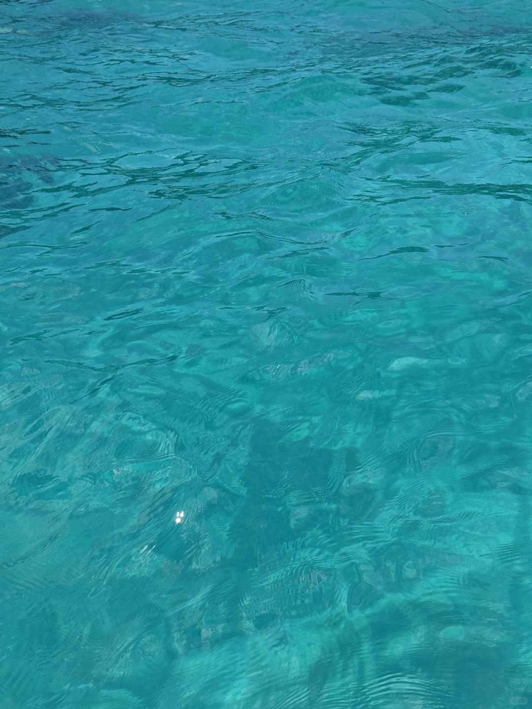 Okinawa-The jelly sea in Nagaru Island has its own filter:crystal clear sea water,turtles and sharks