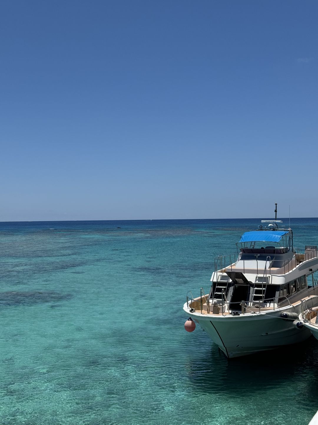 Okinawa-The jelly sea in Nagaru Island has its own filter:crystal clear sea water,turtles and sharks