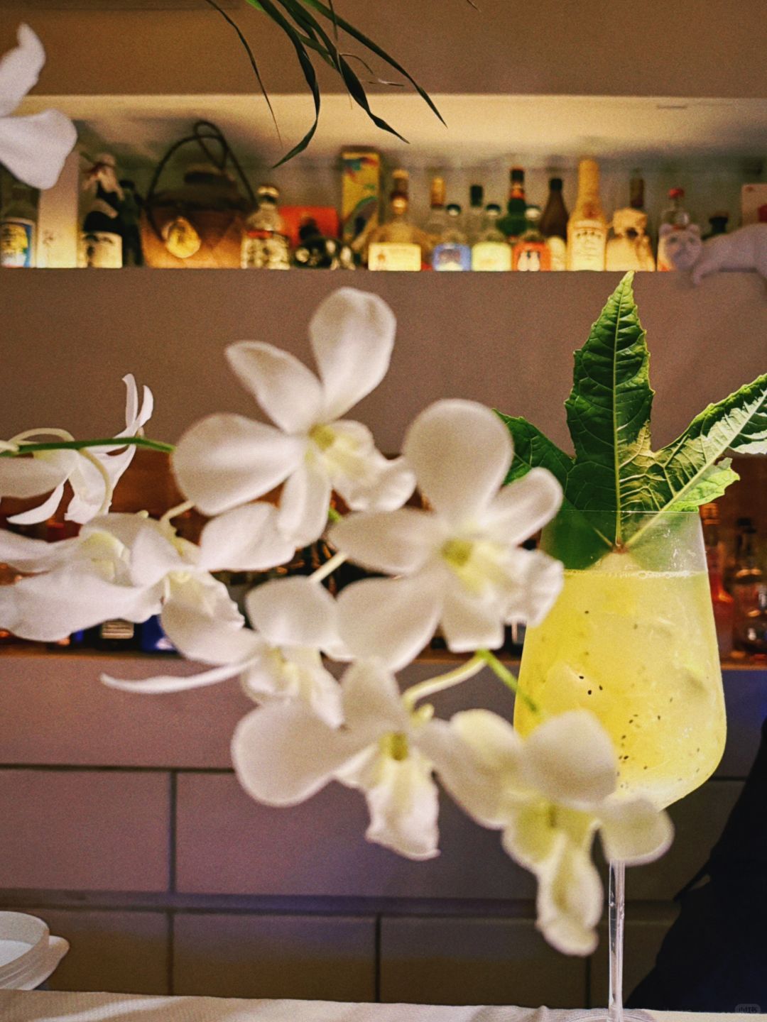 Okinawa-BAR Owl バーアウル,famous for its super large fruit cocktails