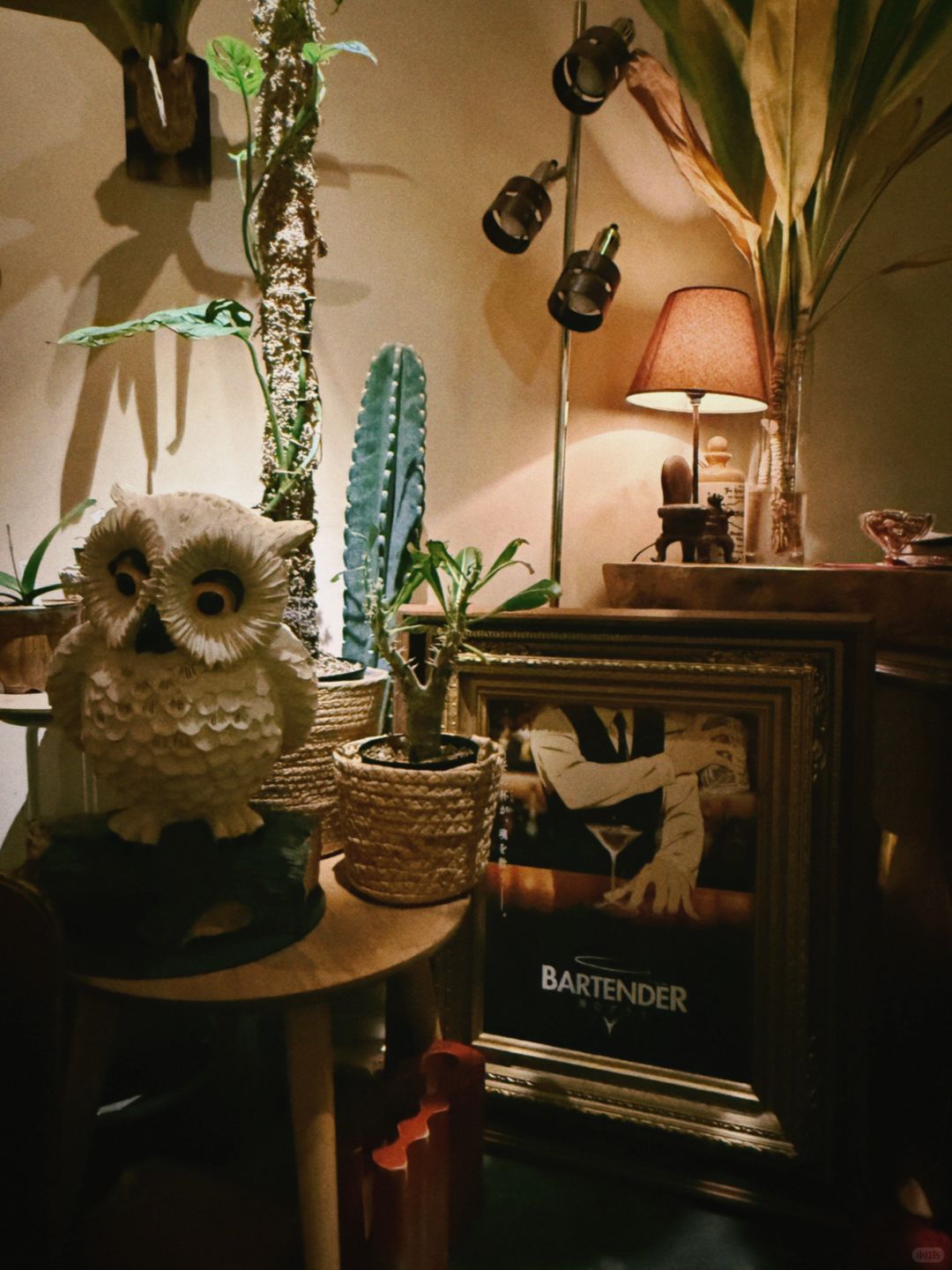 Okinawa-BAR Owl バーアウル,famous for its super large fruit cocktails