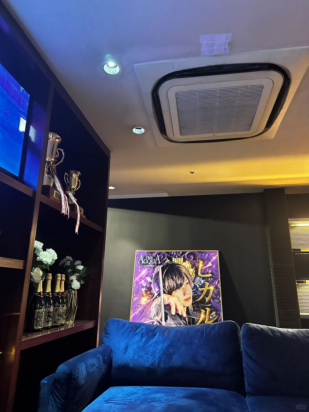 Sapporo/Hokkaido-First experience of Cowherd restaurant:ホスホス with  unlimited drinks and cowherd good at  enhancing the atmosphere
