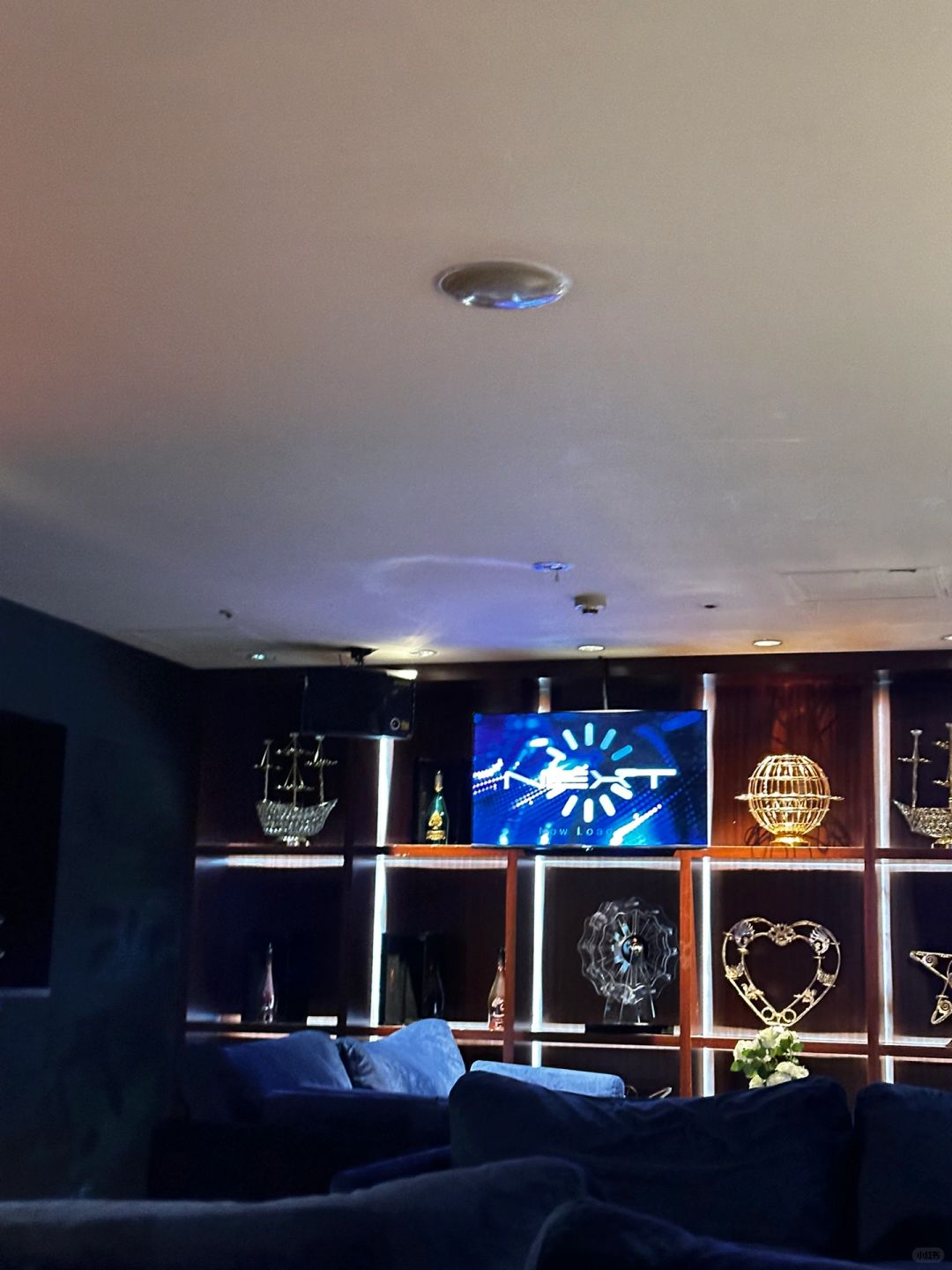 Sapporo/Hokkaido-First experience of Cowherd restaurant:ホスホス with  unlimited drinks and cowherd good at  enhancing the atmosphere