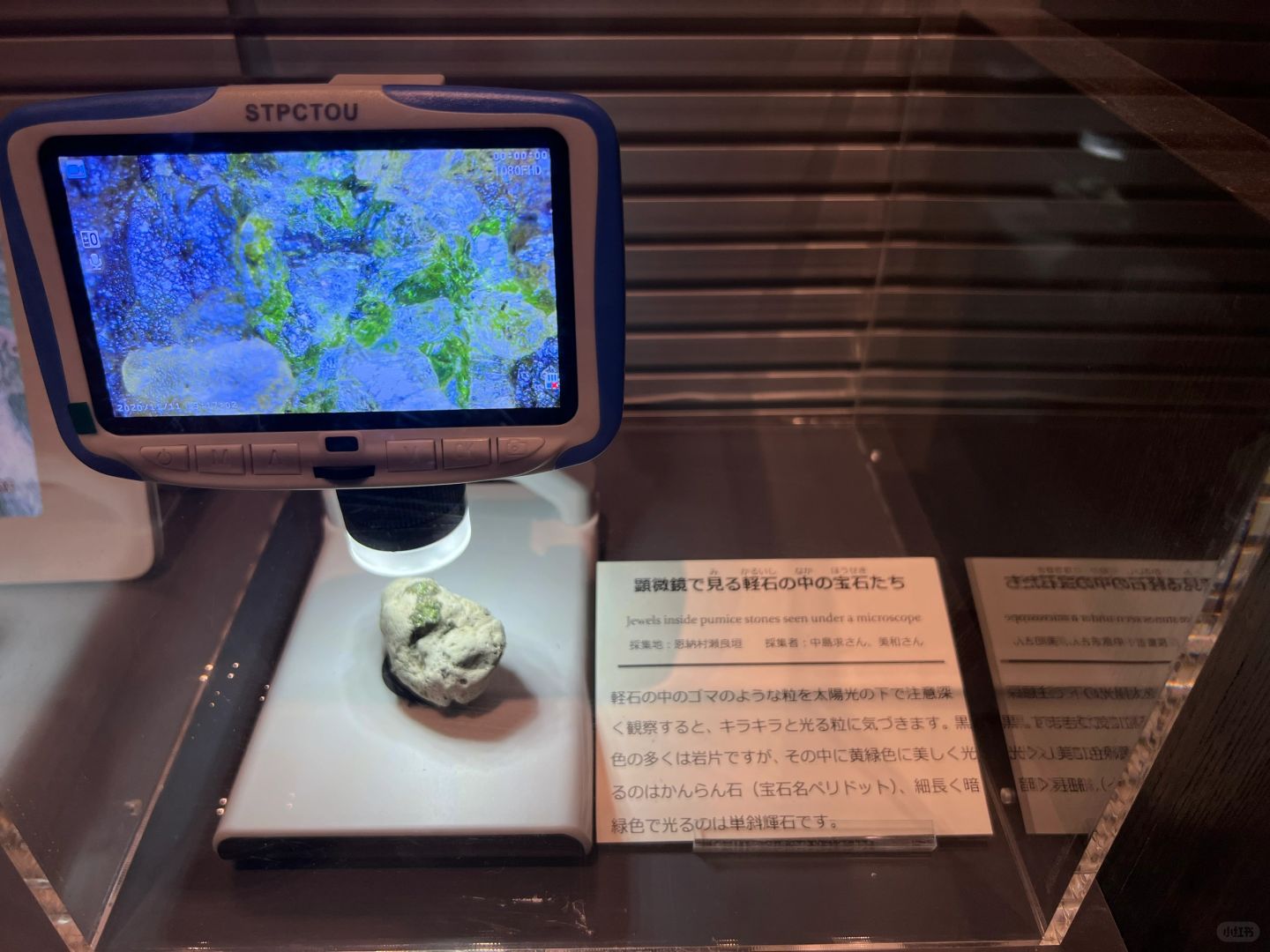 Sapporo/Hokkaido-The prefectural museum, art gallery and internet-famous Nuanmu Ramen