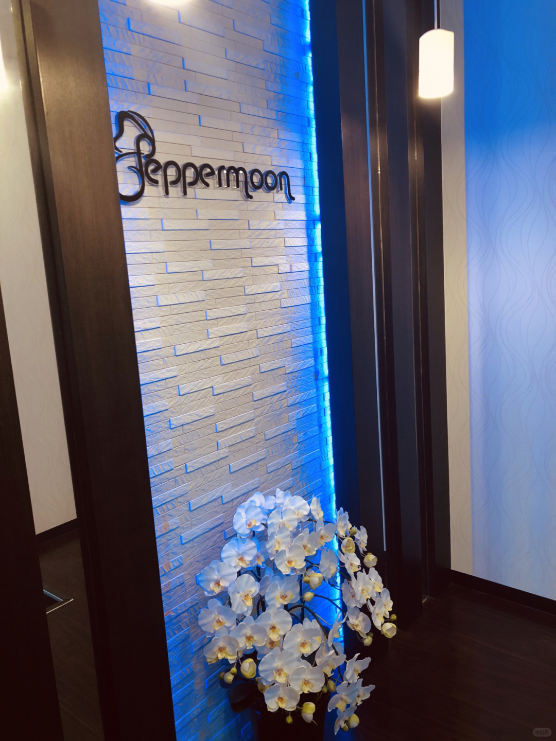 Tokyo-Pepper Moon Beauty Aroma & Hyper Knife Slimming & Small Face (アロマ&ハイパーナイフ)