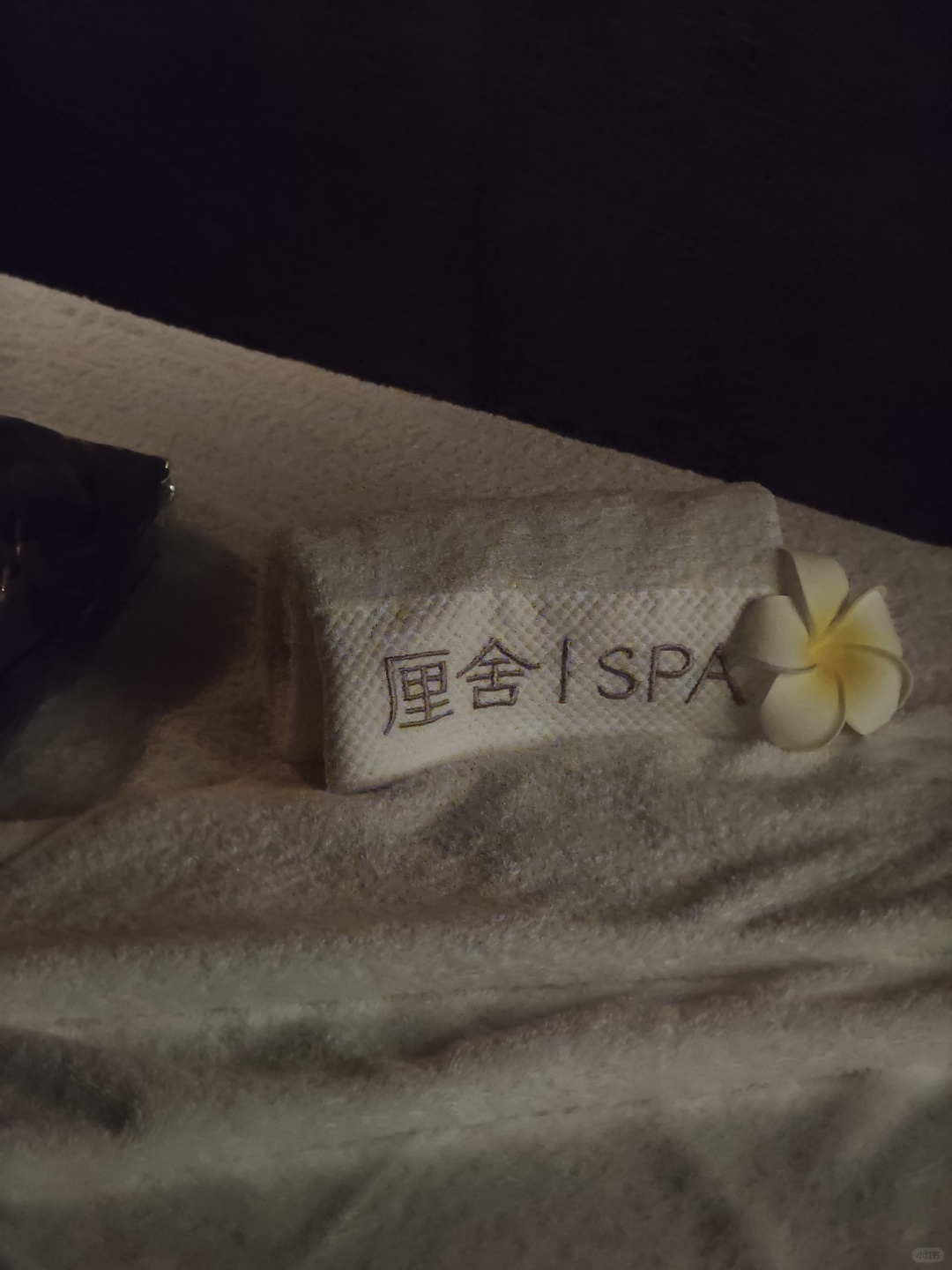 Changsha-Changsha Lishe SPA, the massage therapists have very professional skills and just the right amount of strength!