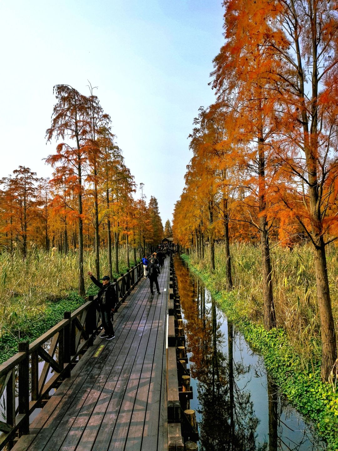 Shanghai/Hangzhou-Shanghai Qingxi Suburban Park is the only suburban park in Shanghai that features wetlands!