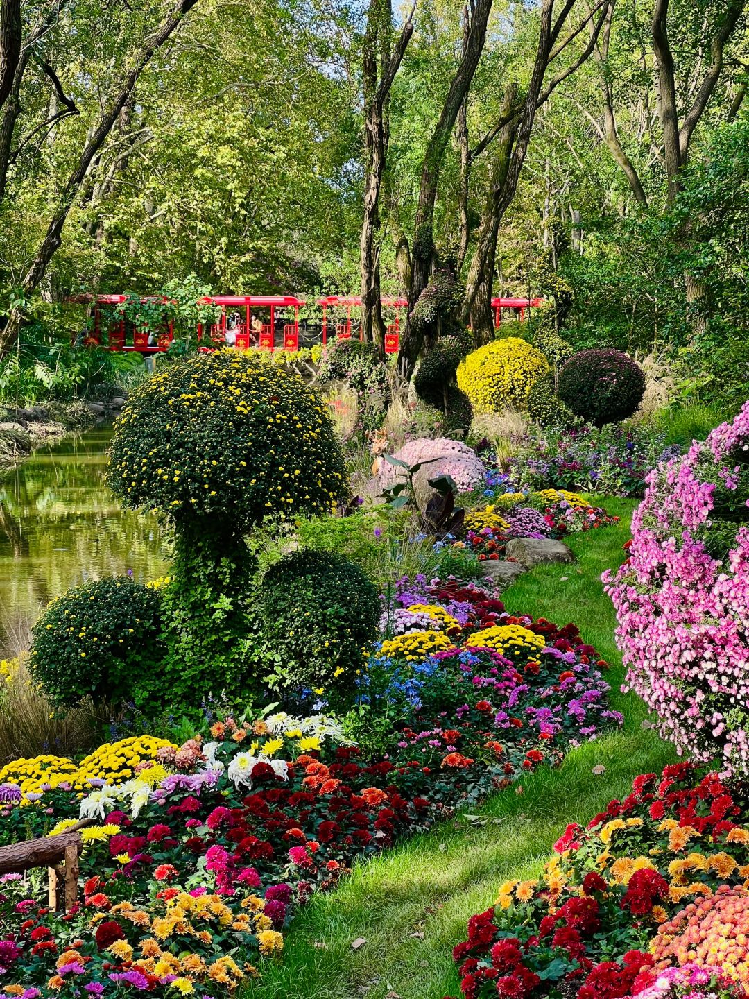 Shanghai/Hangzhou-Oh my god! Shanghai Monet's garden was actually decorated with trees blown down！
