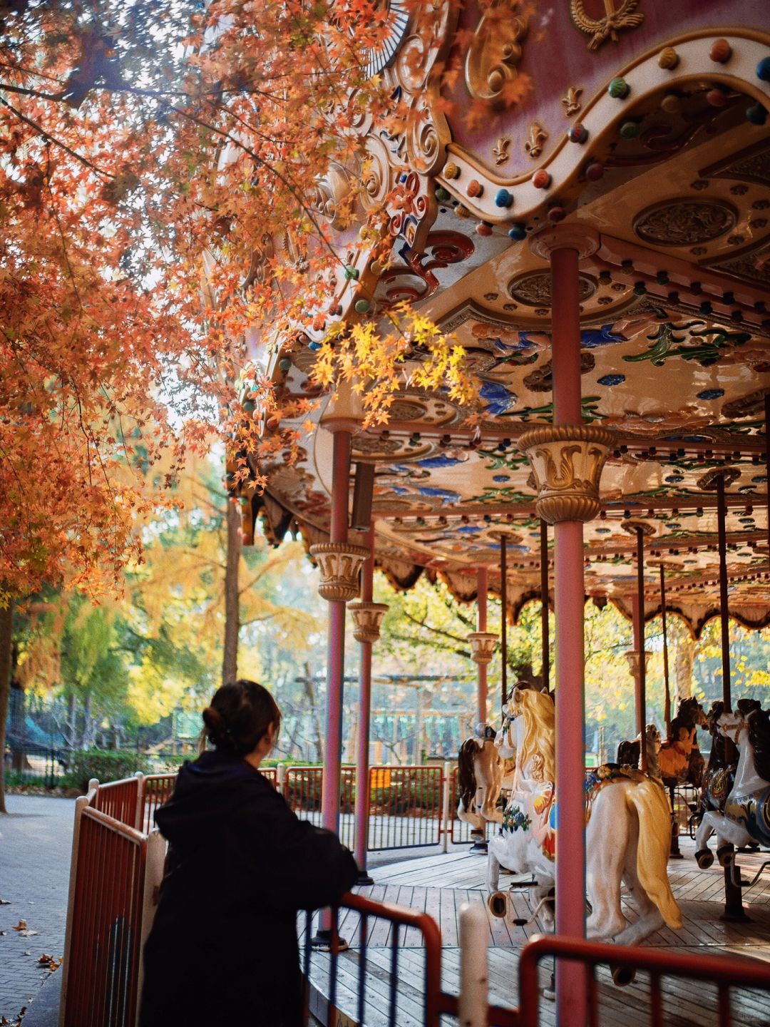 Shanghai/Hangzhou-Every autumn, Shanghai Gongqing Forest Park is a must visit destination in Shanghai！