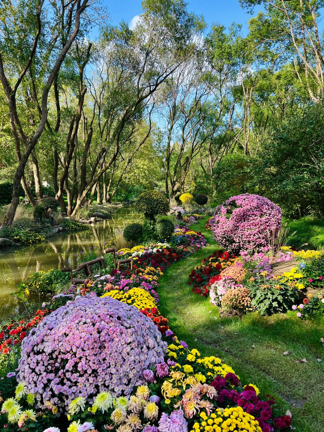 Shanghai/Hangzhou-Oh my god! Shanghai Monet's garden was actually decorated with trees blown down！