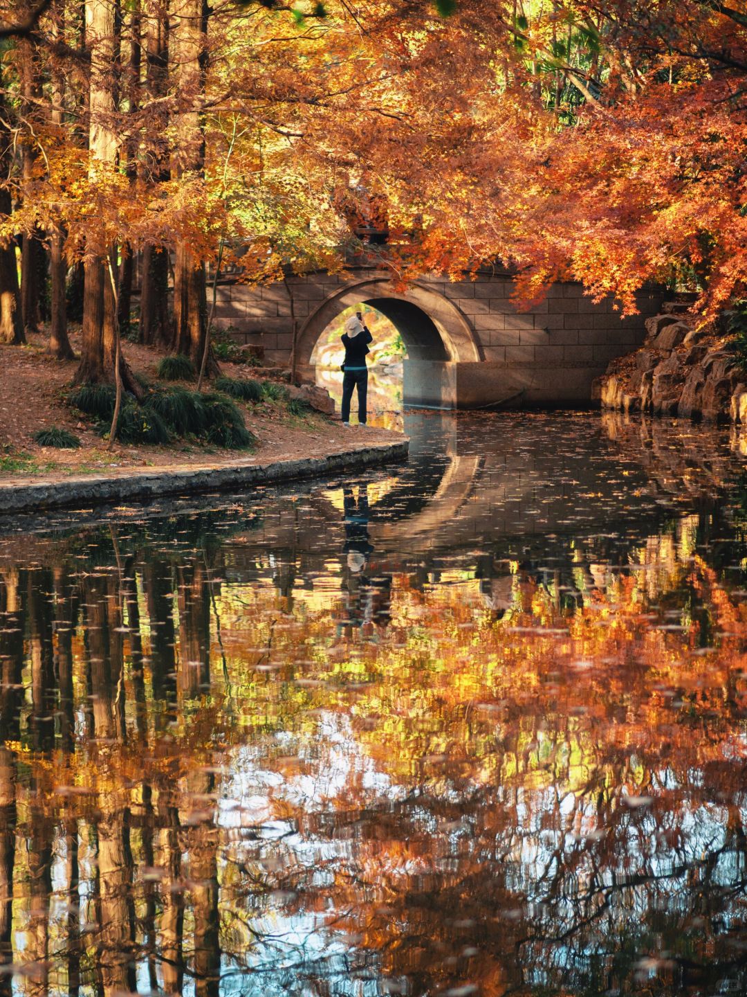 Shanghai/Hangzhou-Every autumn, Shanghai Gongqing Forest Park is a must visit destination in Shanghai！
