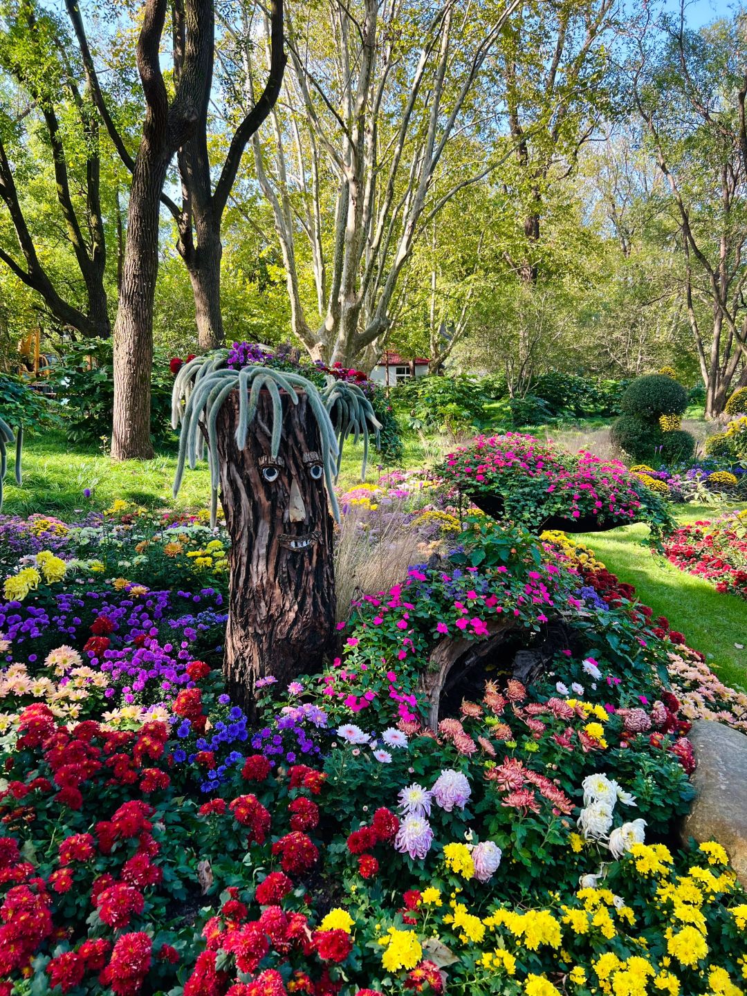 Shanghai/Hangzhou-Oh my god! Shanghai Monet's garden was actually decorated with trees blown down！