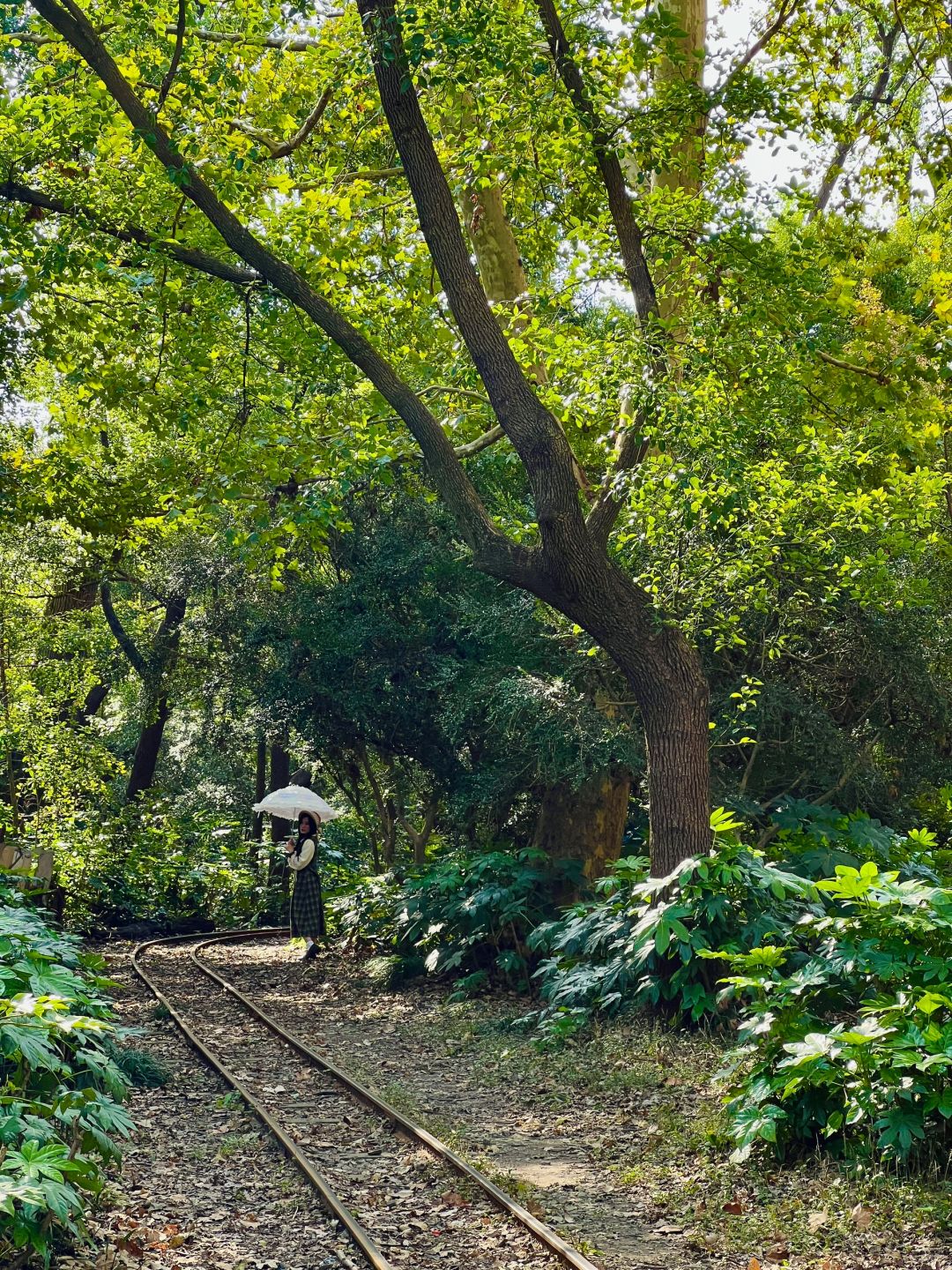 Shanghai/Hangzhou-Oh my god! Shanghai Monet's garden was actually decorated with trees blown down！