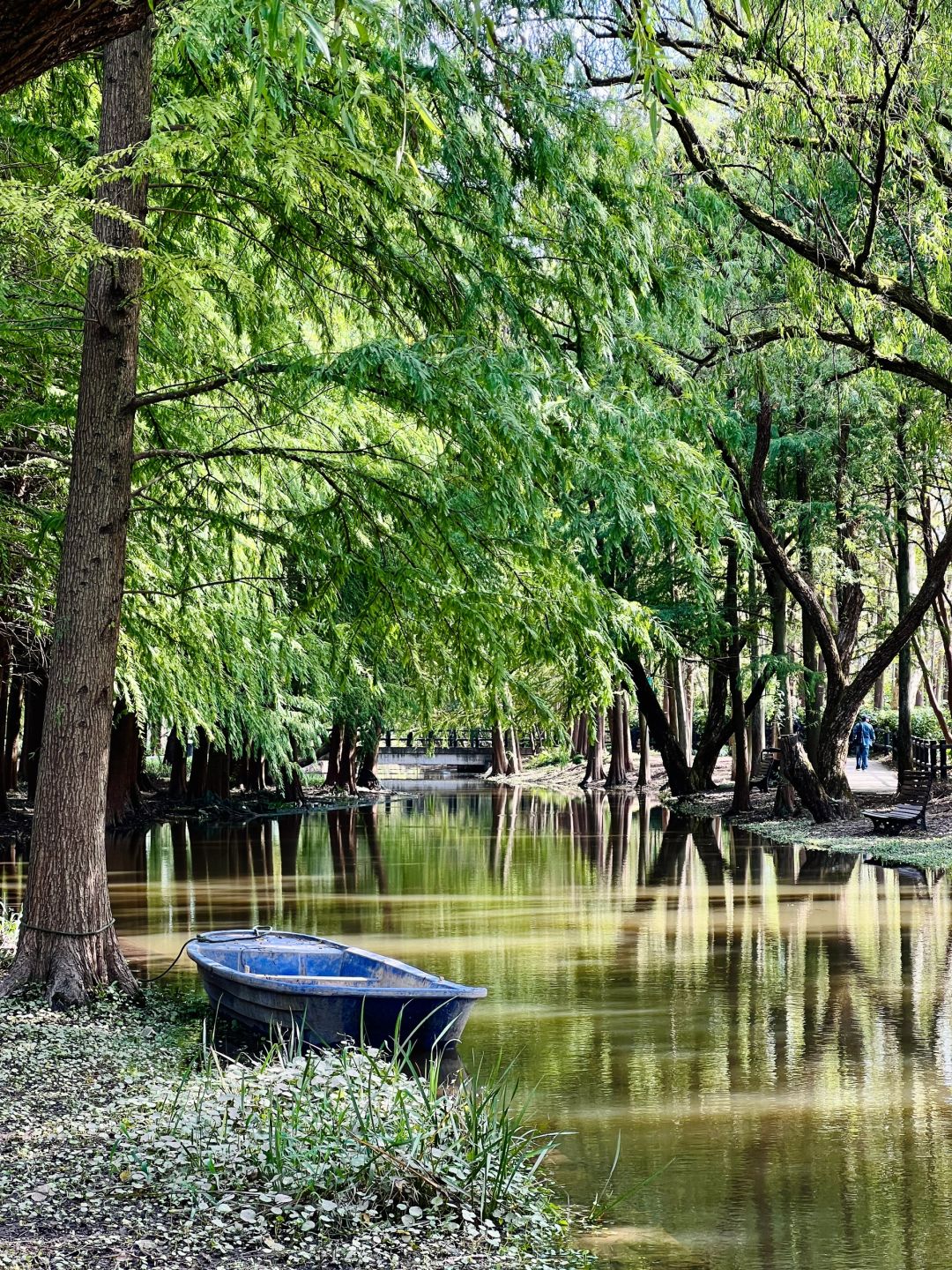 Shanghai/Hangzhou-Oh my god! Shanghai Monet's garden was actually decorated with trees blown down！