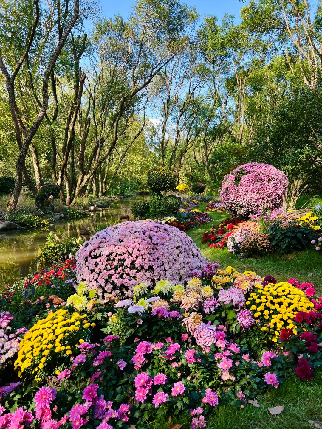 Shanghai/Hangzhou-Oh my god! Shanghai Monet's garden was actually decorated with trees blown down！