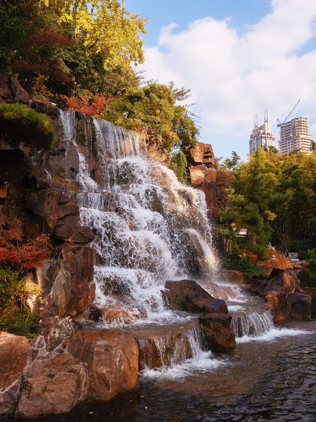 Shanghai/Hangzhou-Shanghai Fude Li Park, with colorful maple leaves, ginkgo trees, cypress trees, and tallow trees!
