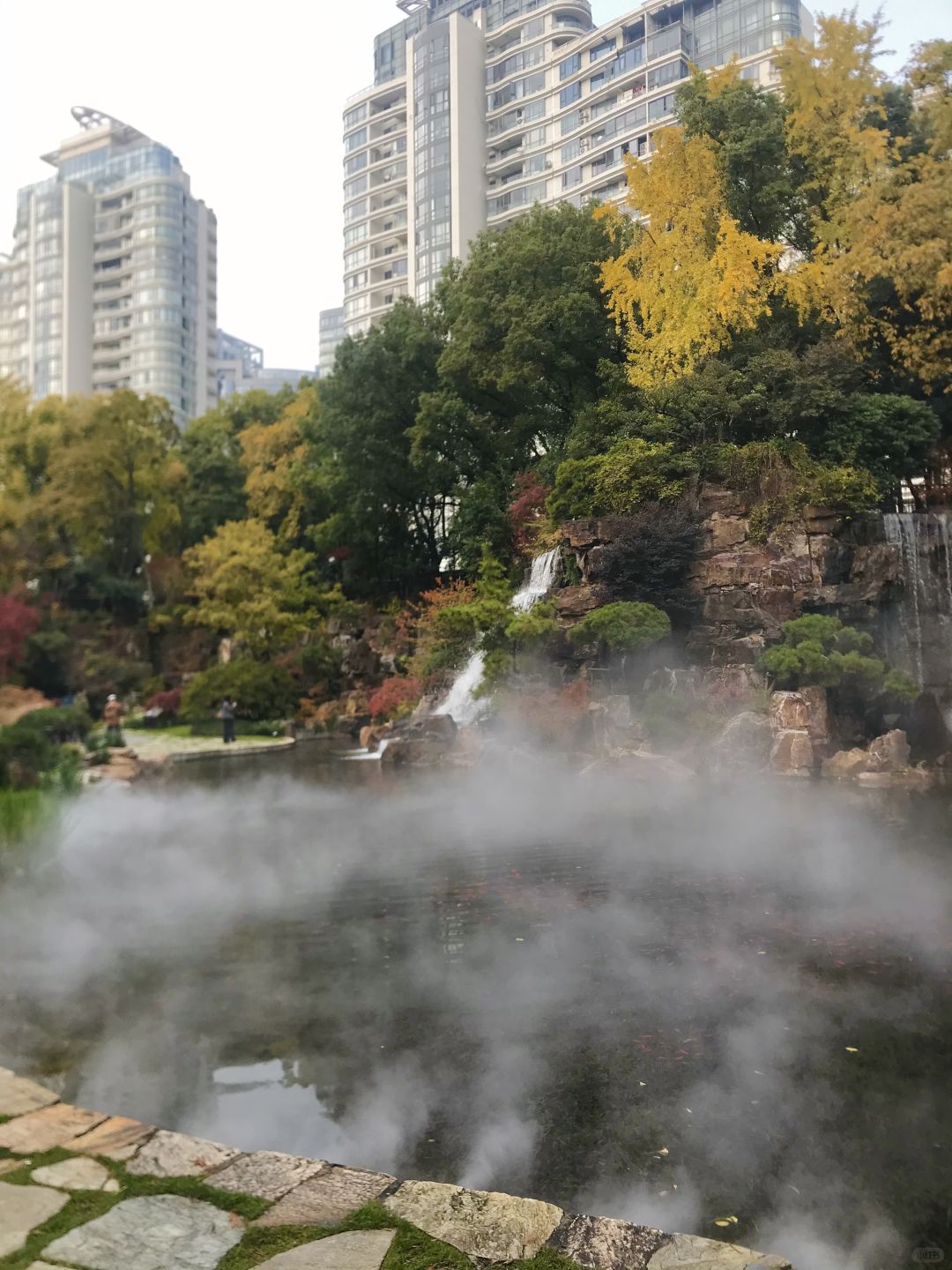 Shanghai/Hangzhou-Shanghai Fude Li Park, with colorful maple leaves, ginkgo trees, cypress trees, and tallow trees!