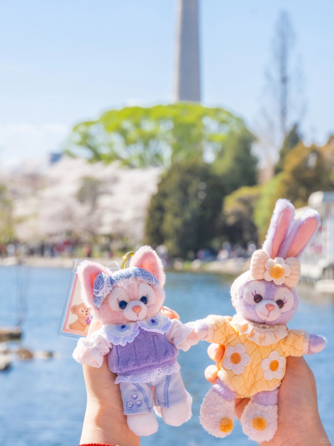 Beijing/Tianjin-Beijing Yuyuantan Park, the largest and most diverse cherry blossom scenic area, is so beautiful and romantic!