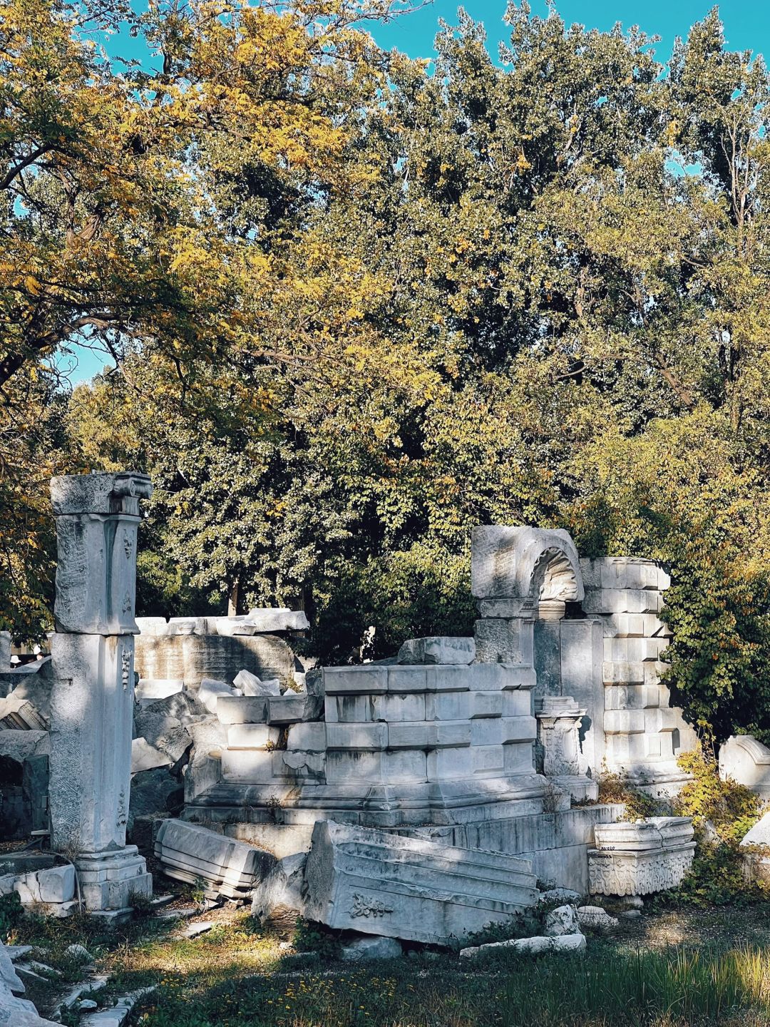 Beijing/Tianjin-Beijing Yuanmingyuan Park, still full of beauty after suffering disasters!