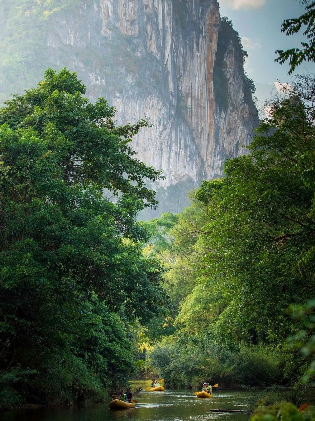 Phuket-Khao Sok National Park, Phuket, ?‍♂ the oldest tropical rainforest in Thailand