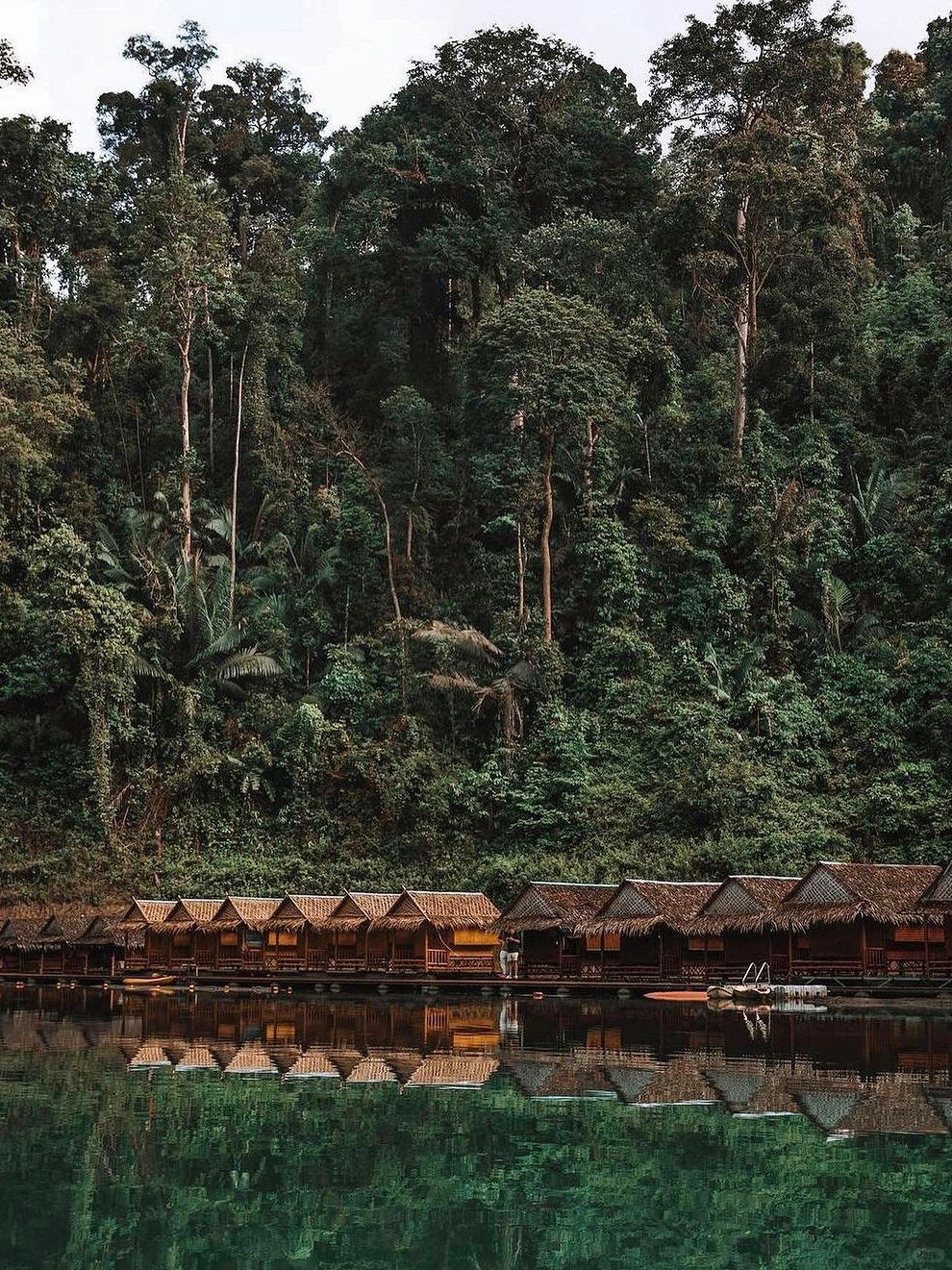 Phuket-Khao Sok National Park, Phuket, ?‍♂ the oldest tropical rainforest in Thailand
