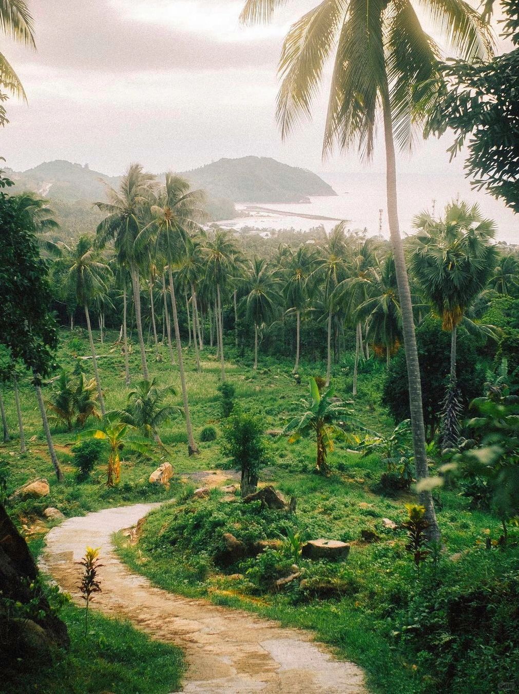Phuket-Khao Sok National Park, Phuket, ?‍♂ the oldest tropical rainforest in Thailand