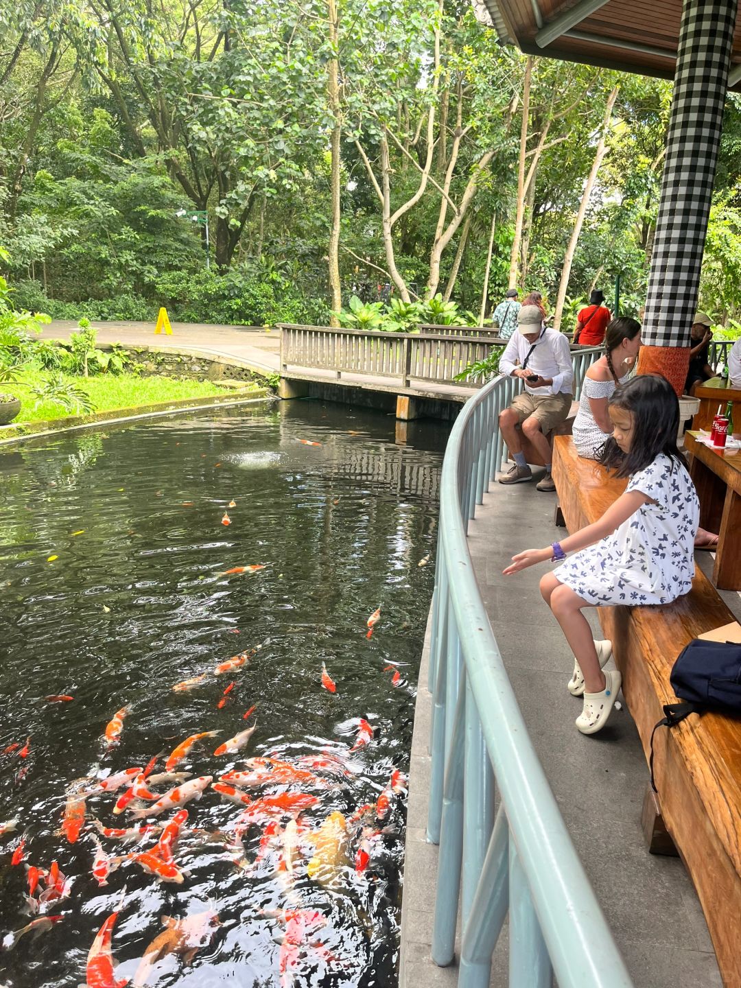 Bali-Bali Monkey Forest Park, Temple built 17th century, has lush trees and gentle monkeys